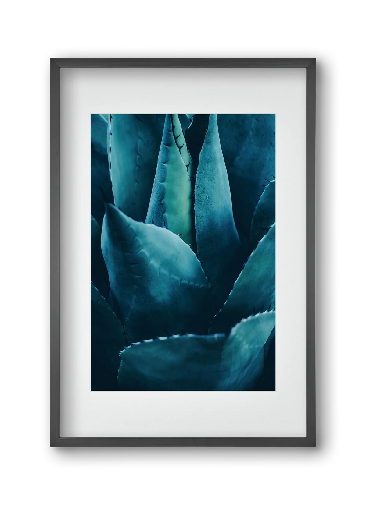 Cactus no. 4 - artbridge