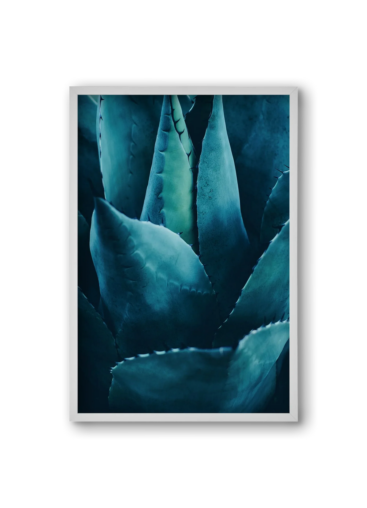 Cactus no. 4 - artbridge