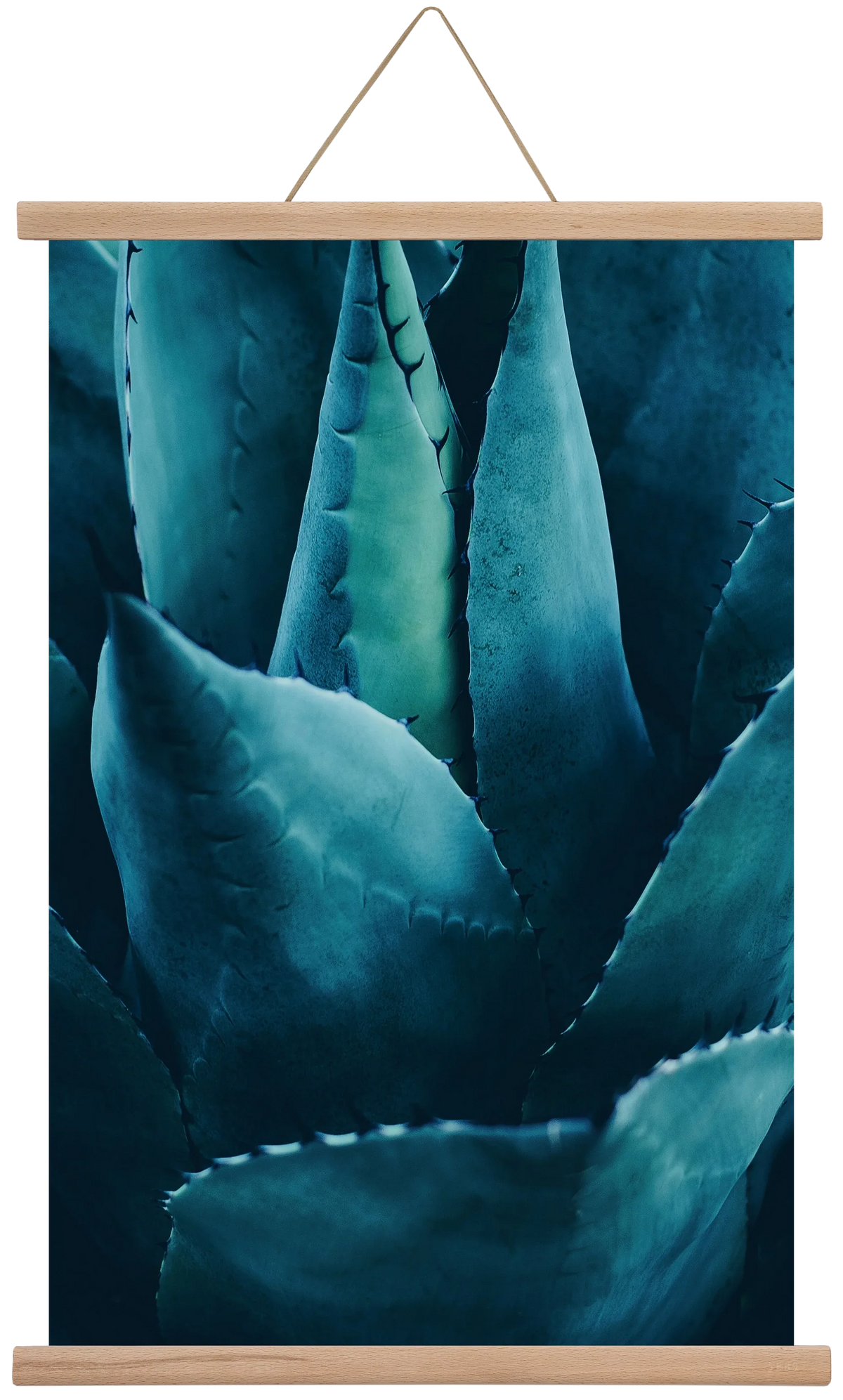 Cactus no. 4 - artbridge