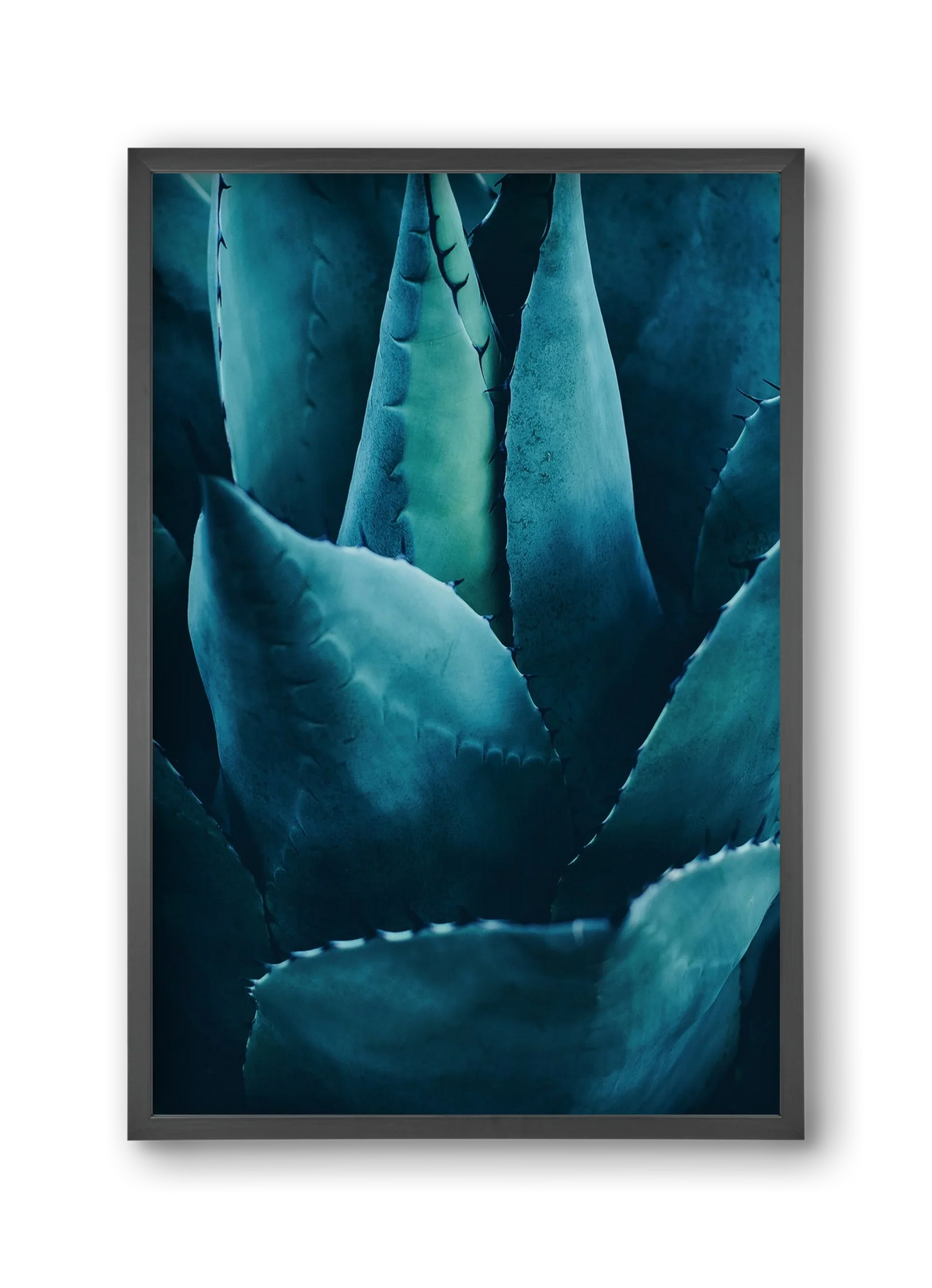 Cactus no. 4 - artbridge