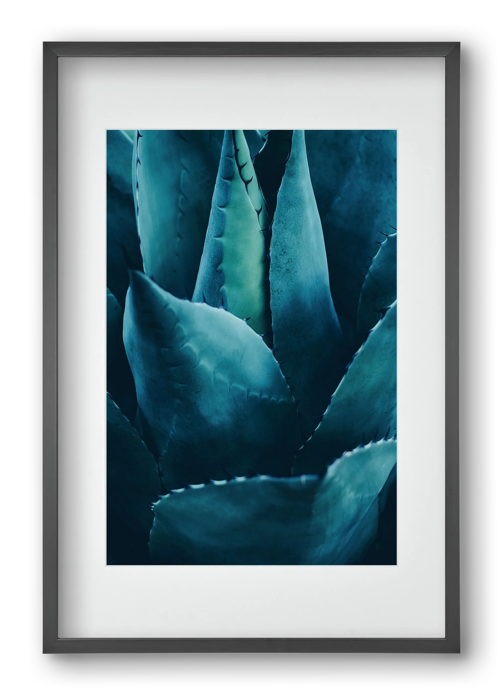 Cactus no. 4 - artbridge
