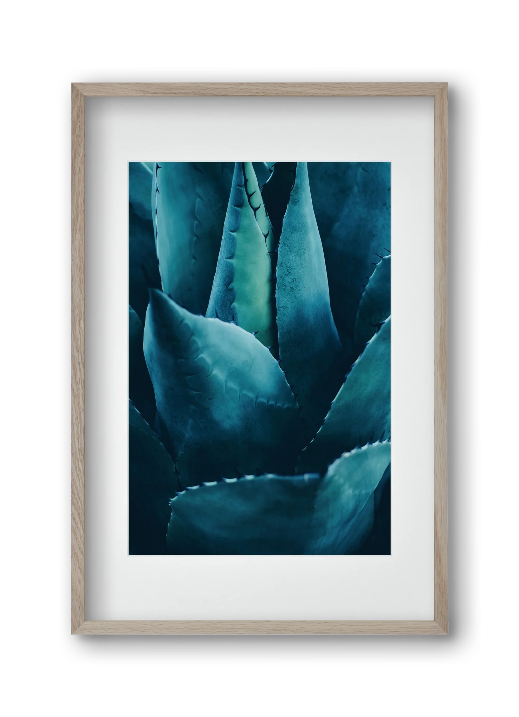 Cactus no. 4 - artbridge