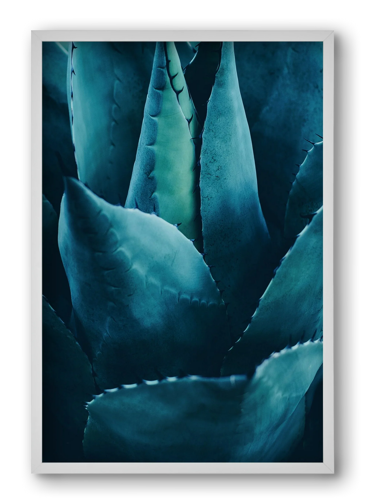 Cactus no. 4 - artbridge