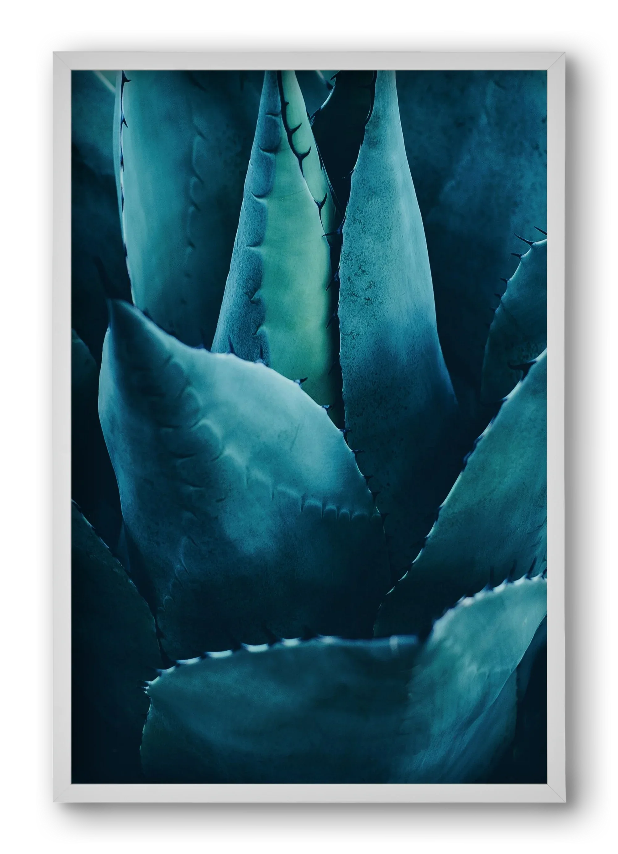 Cactus no. 4 - artbridge