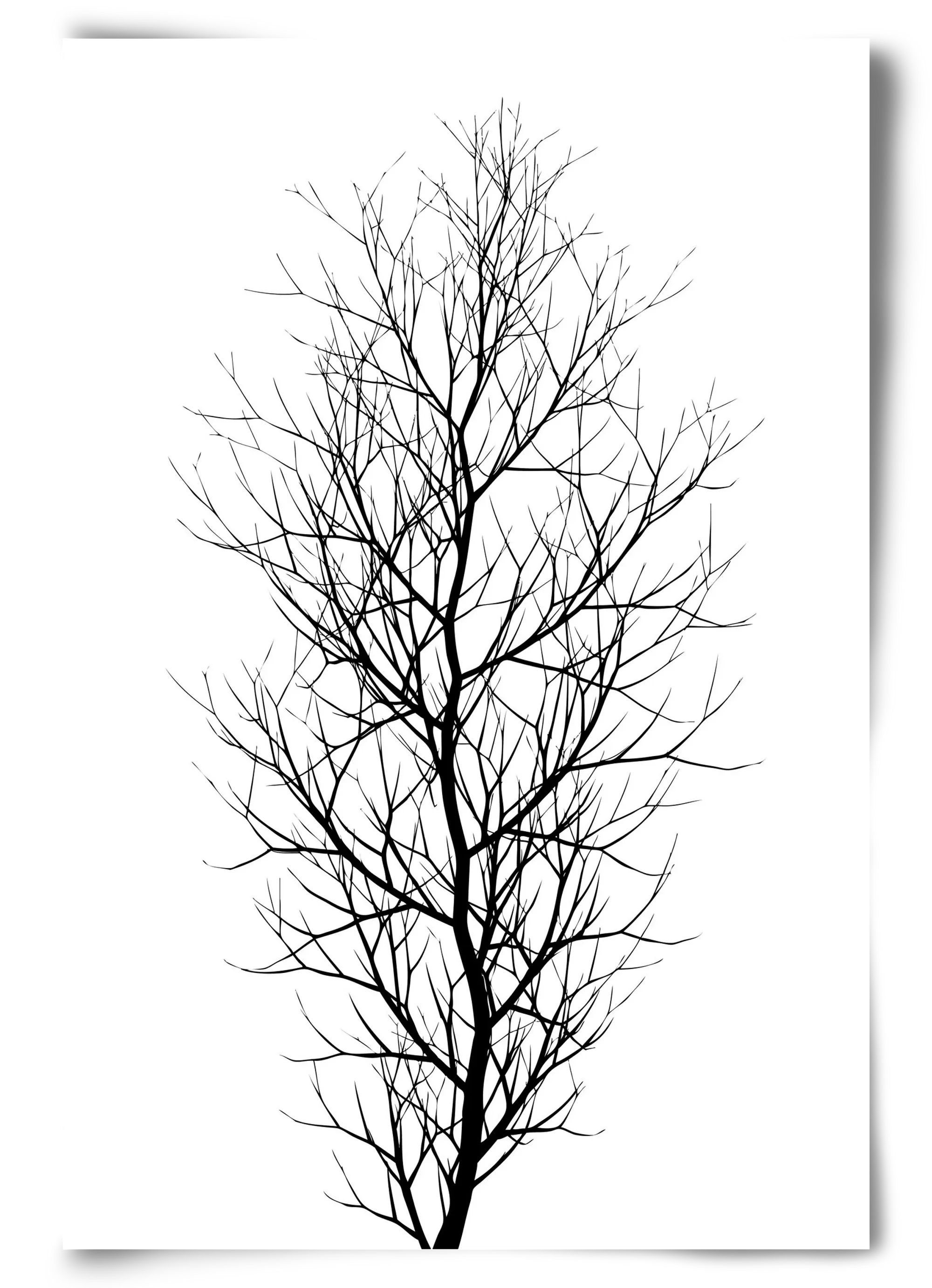 The tree - artbridge