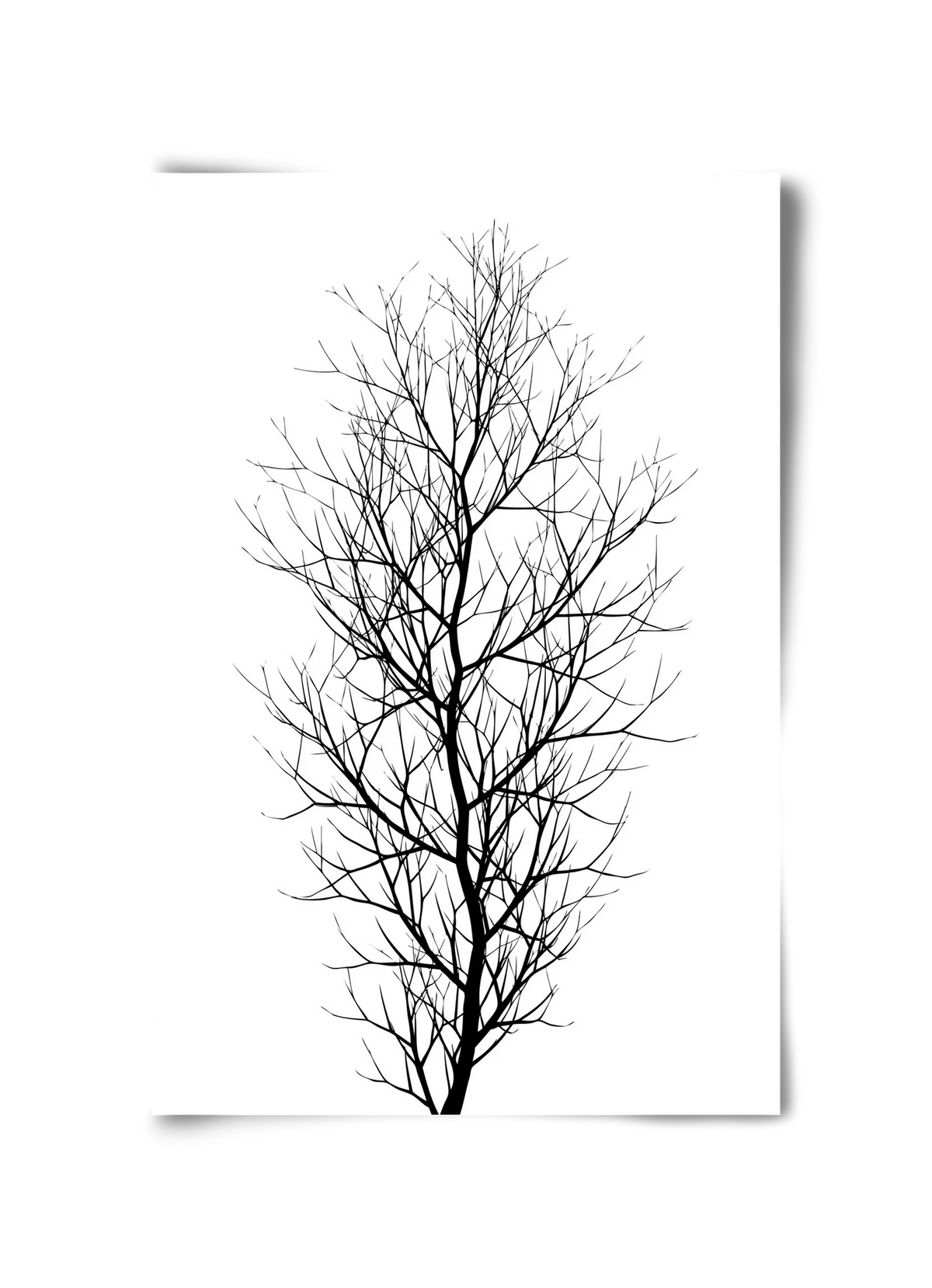 The tree - artbridge