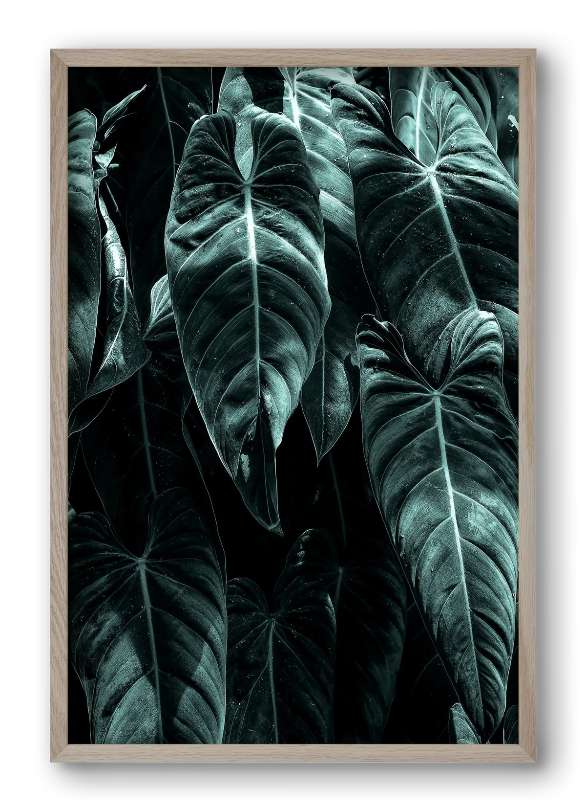Jungle - artbridge