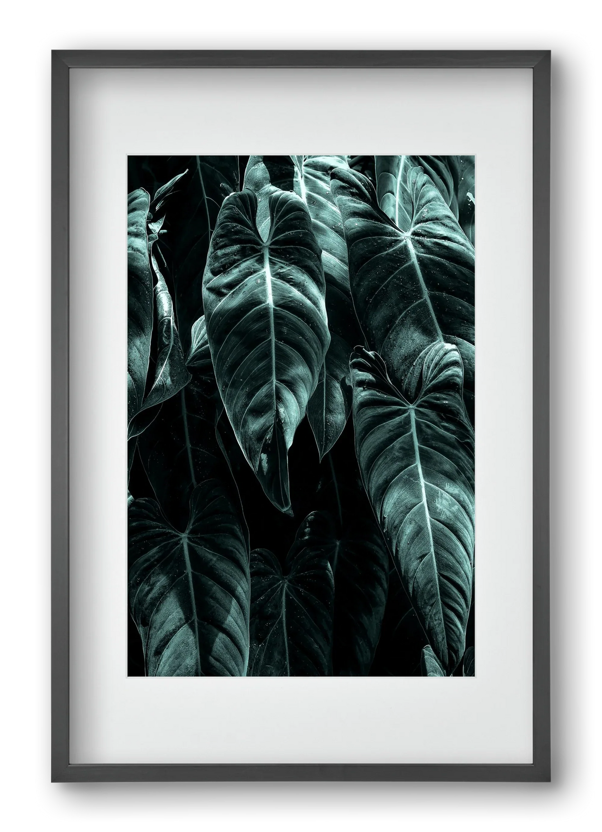 Jungle - artbridge