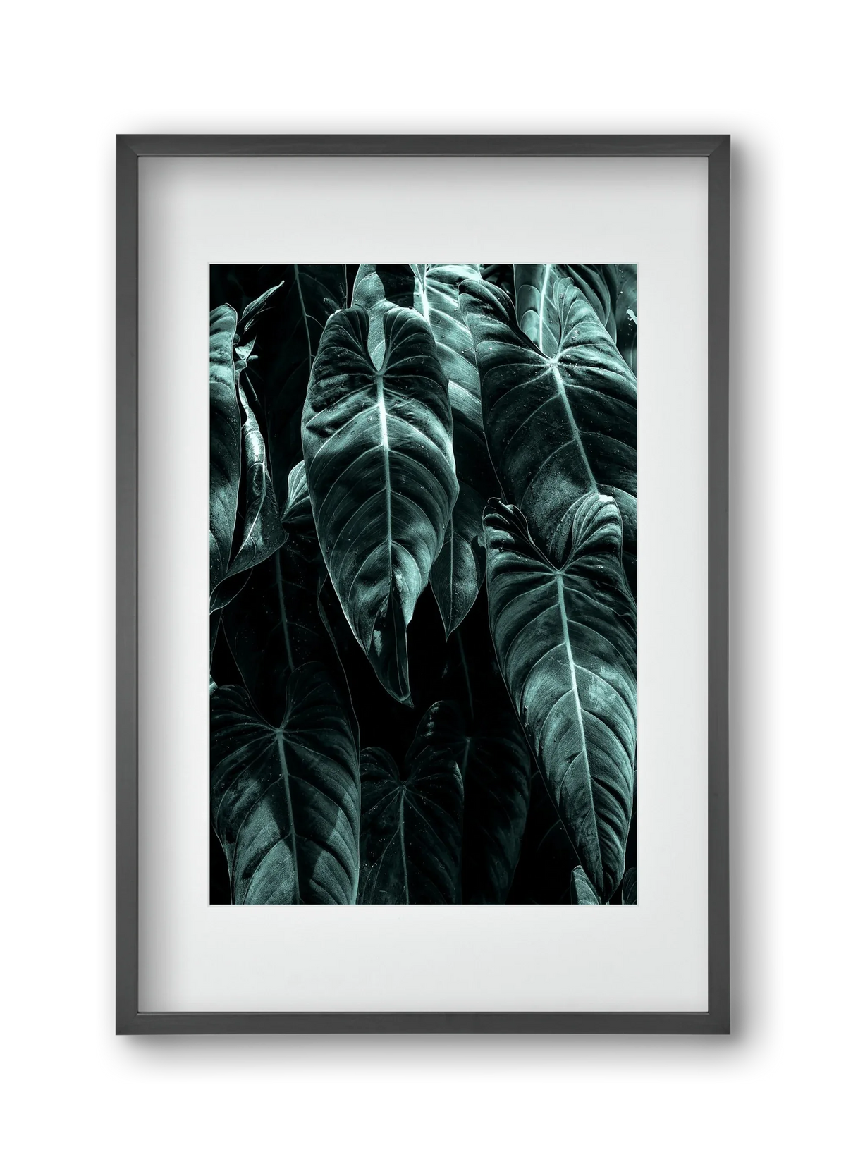 Jungle - artbridge
