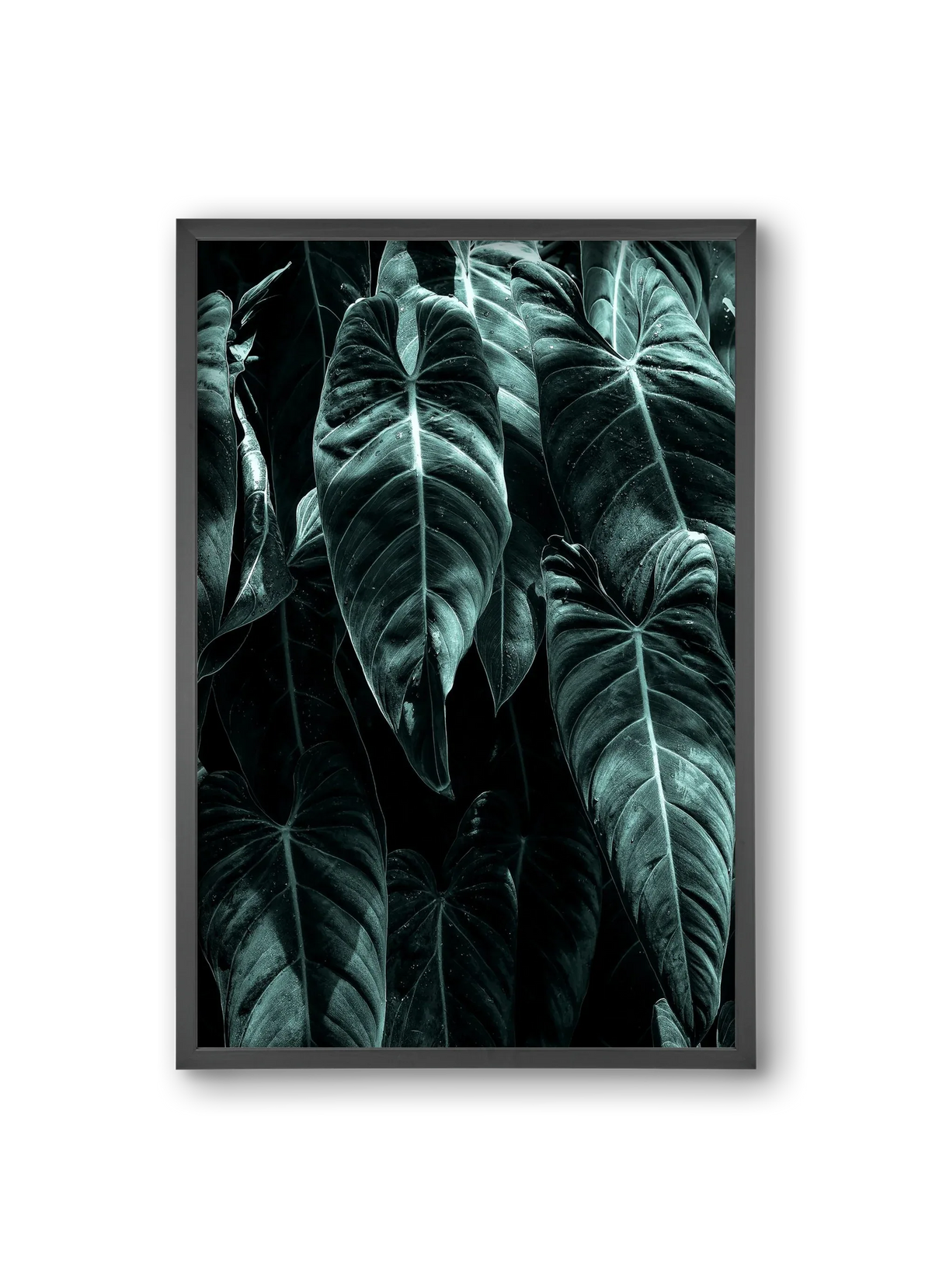 Jungle - artbridge