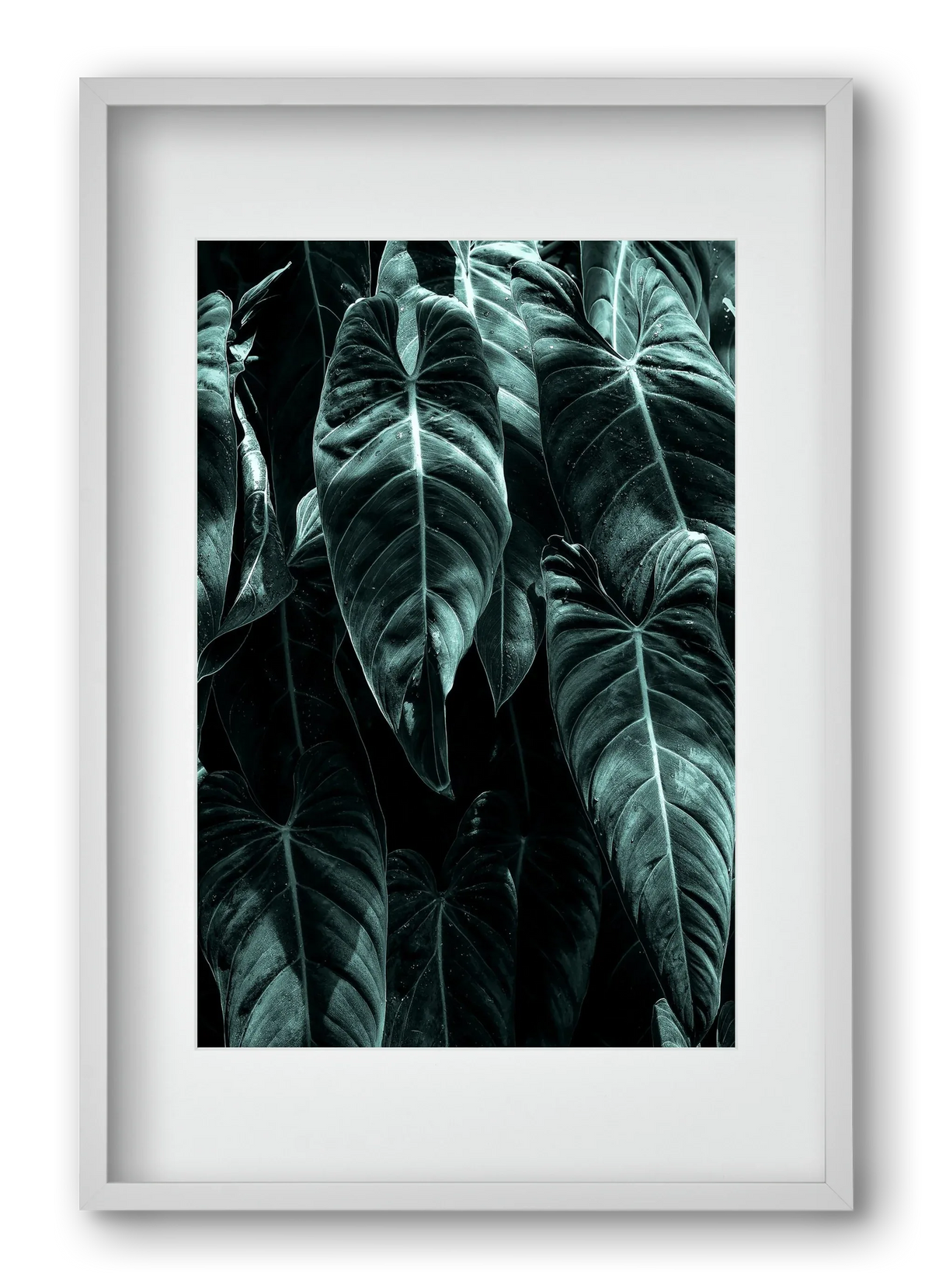 Jungle - artbridge