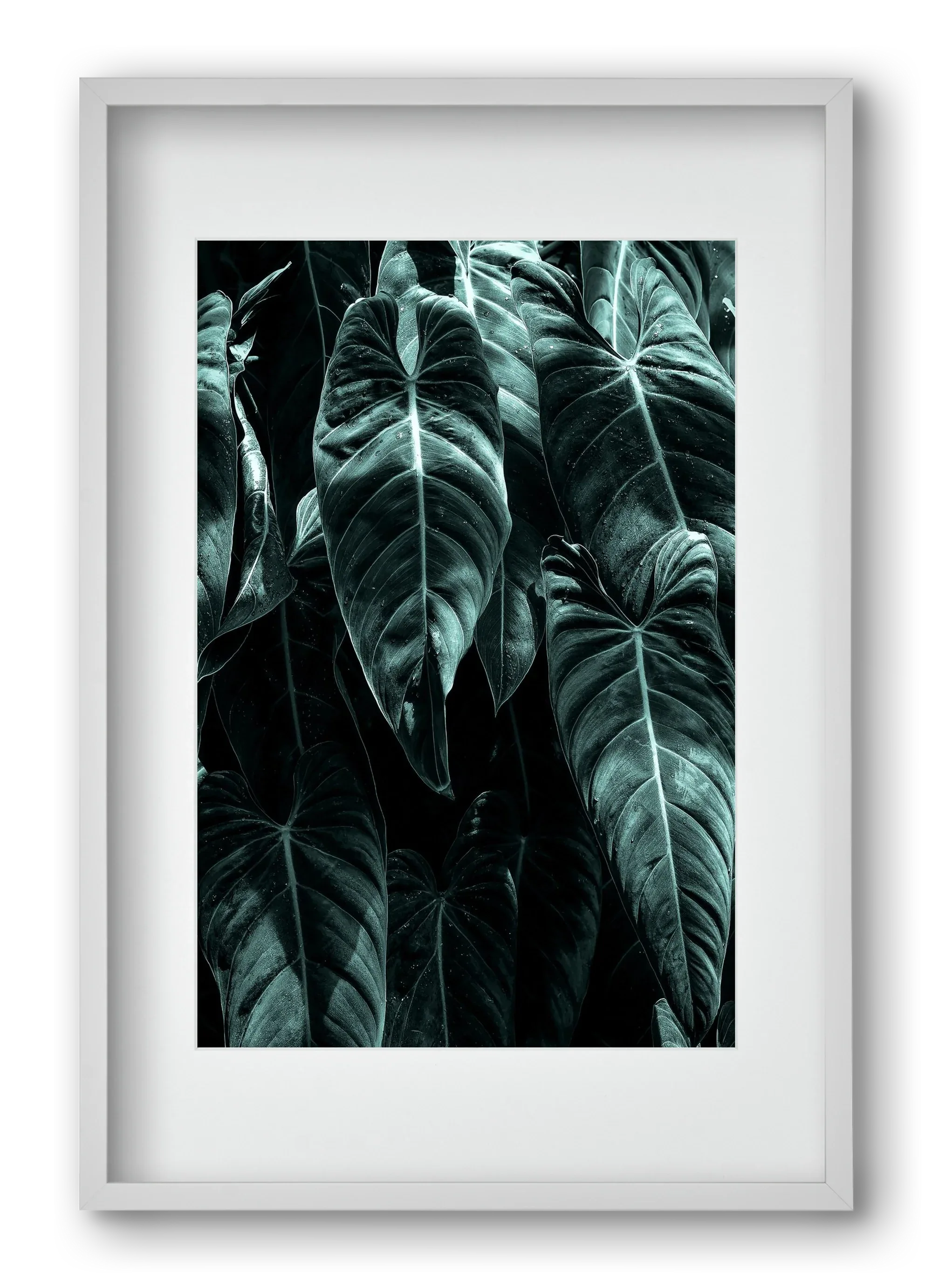 Jungle - artbridge