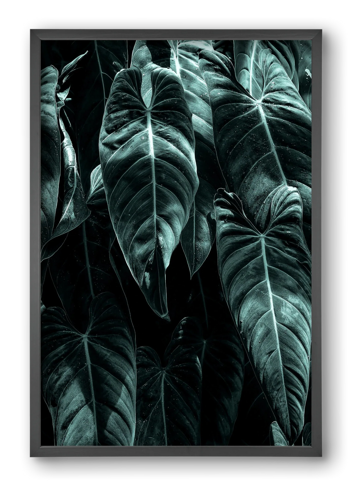 Jungle - artbridge