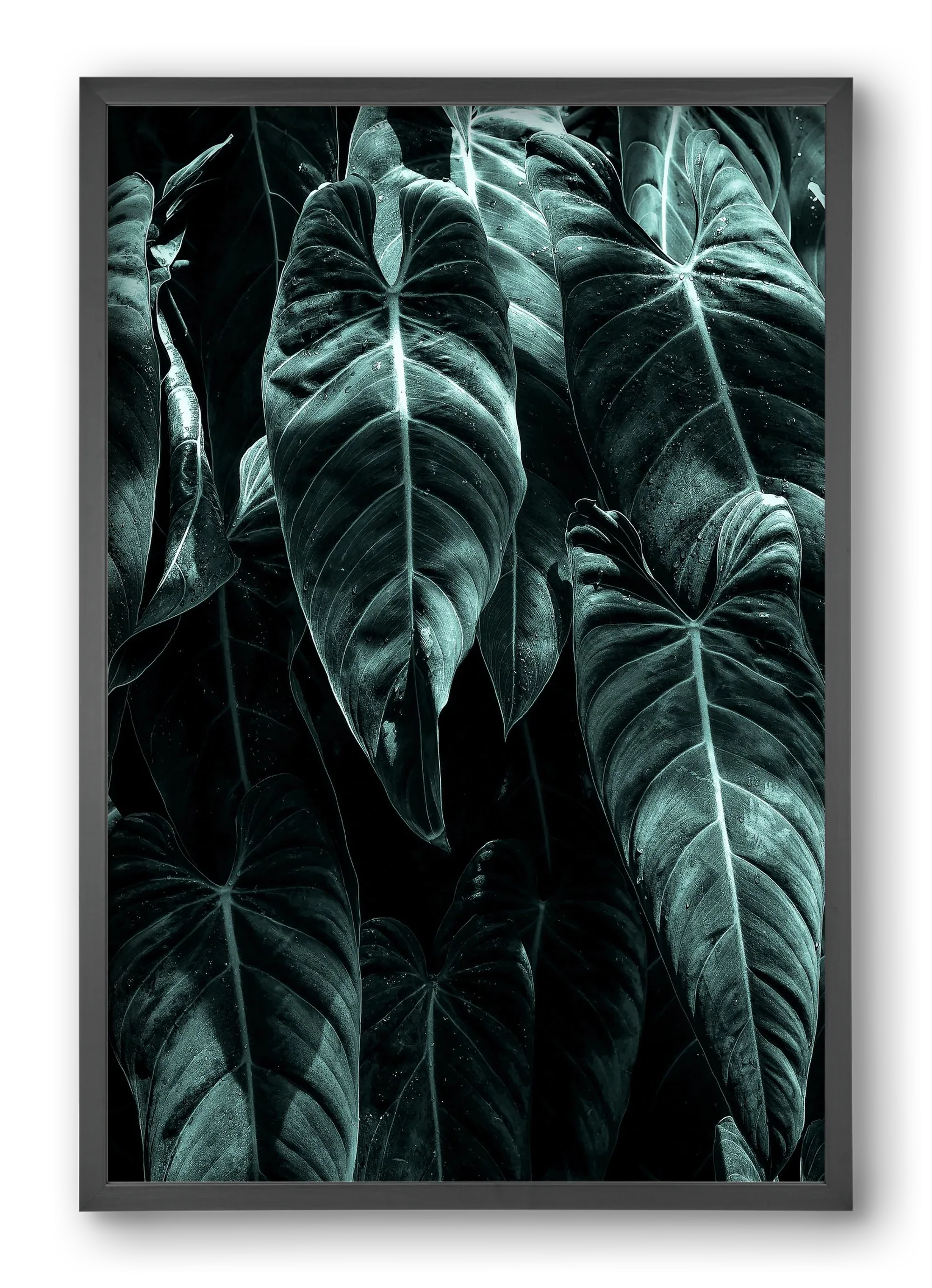 Jungle - artbridge