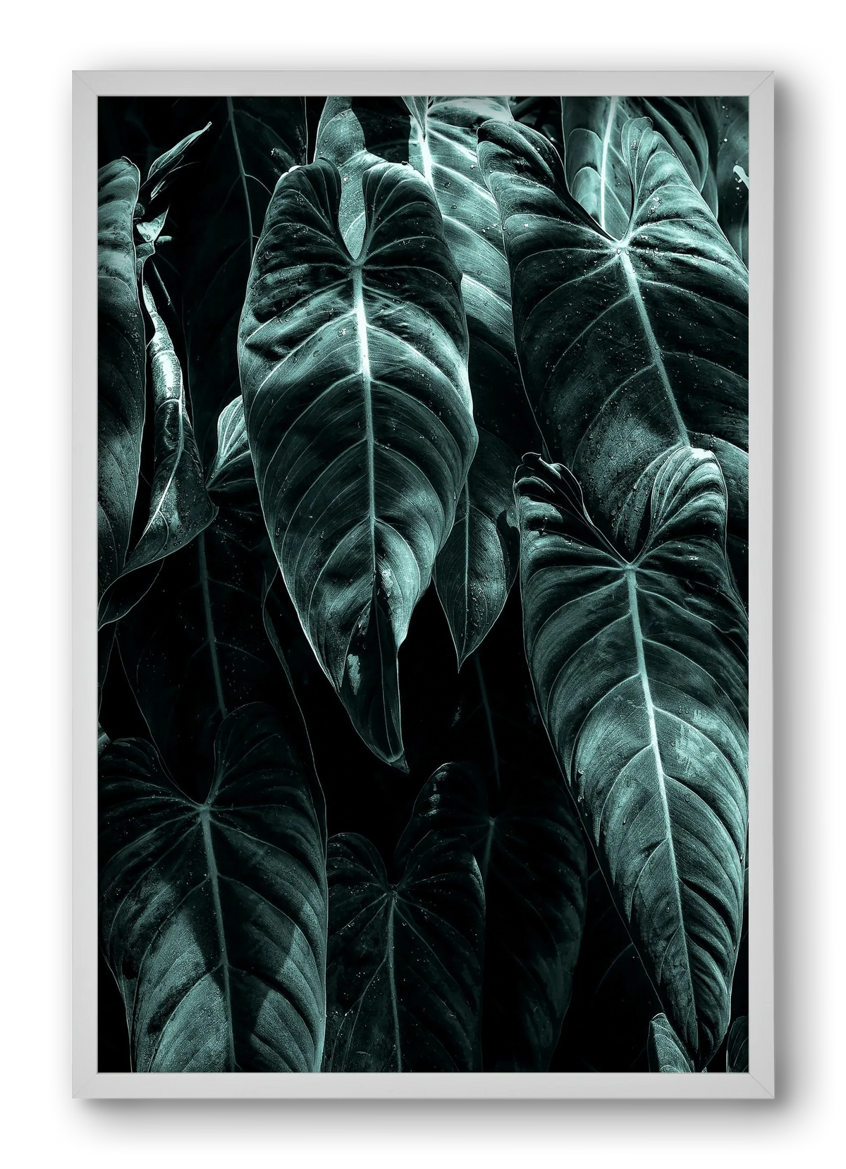 Jungle - artbridge