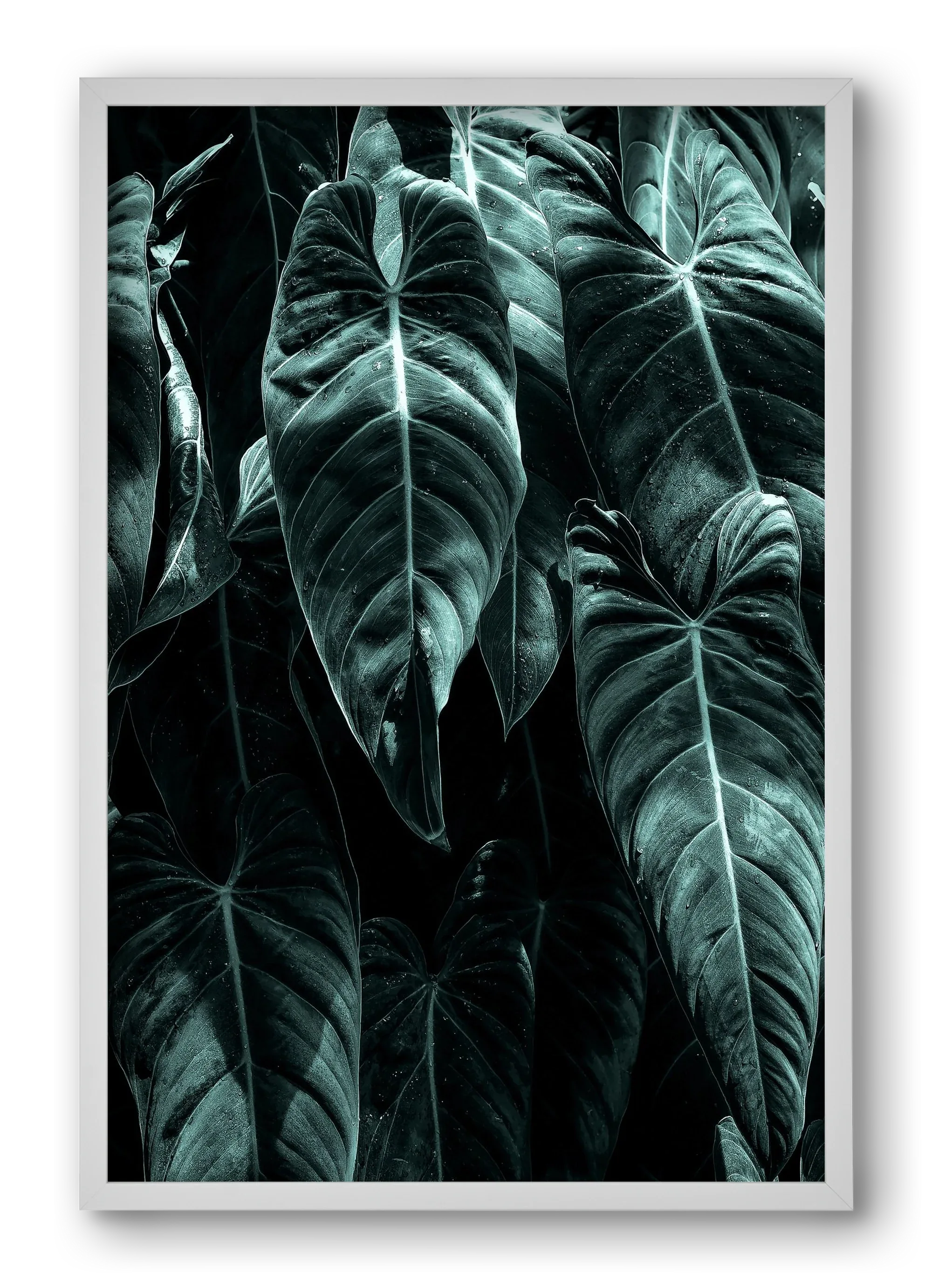 Jungle - artbridge