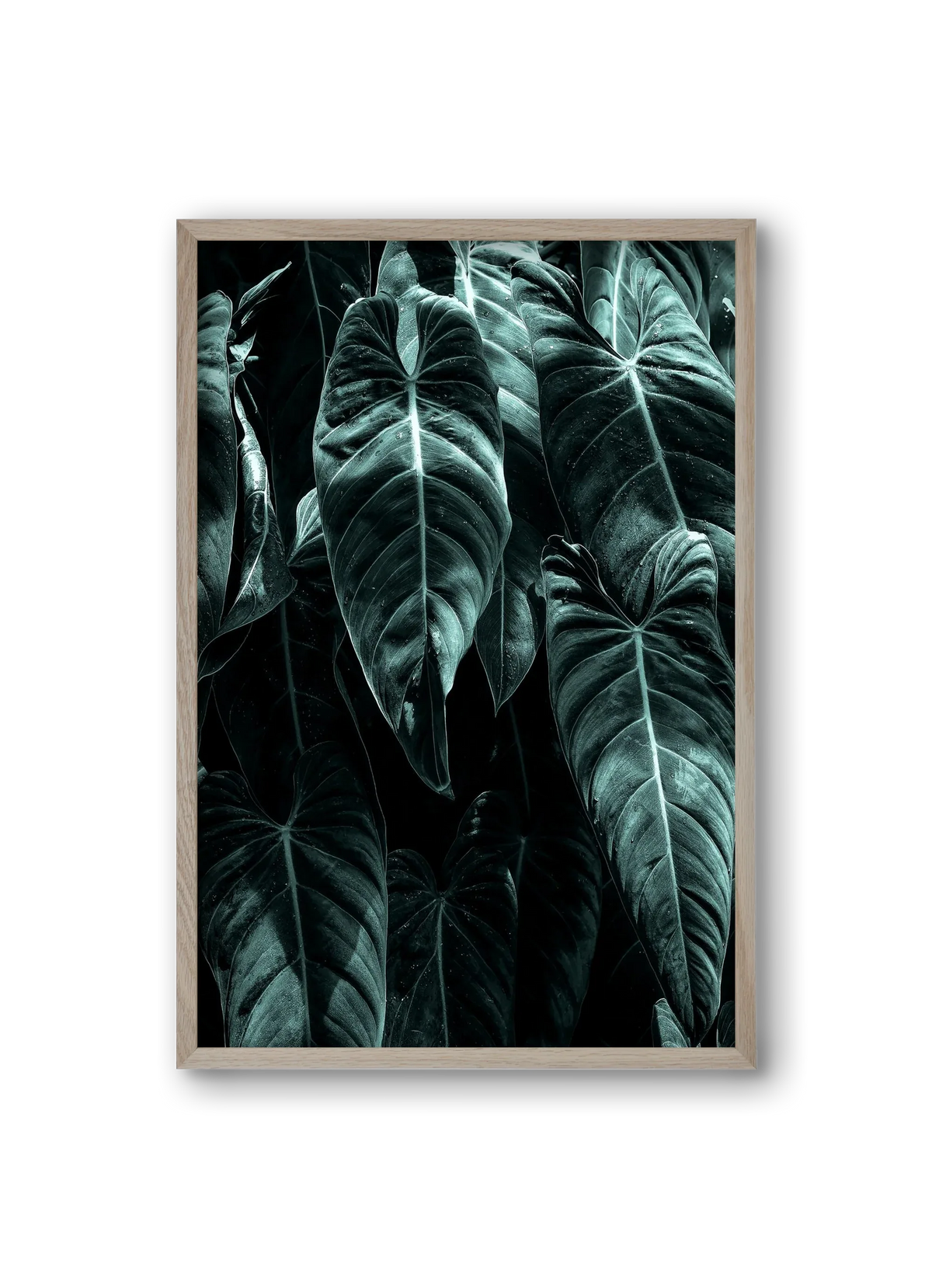 Jungle - artbridge