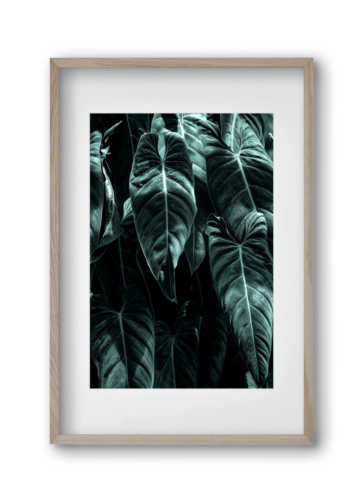 Jungle - artbridge