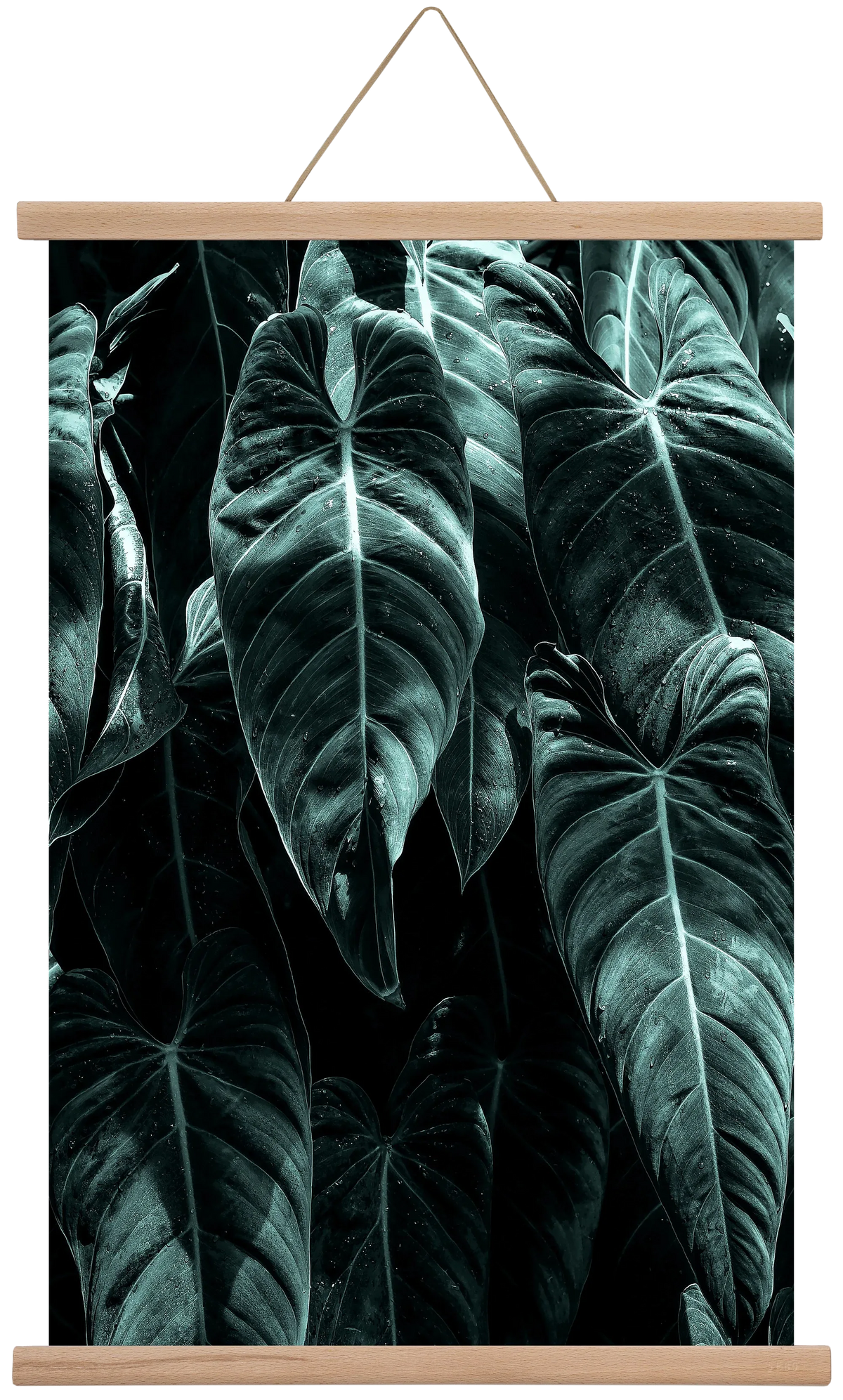 Jungle - artbridge