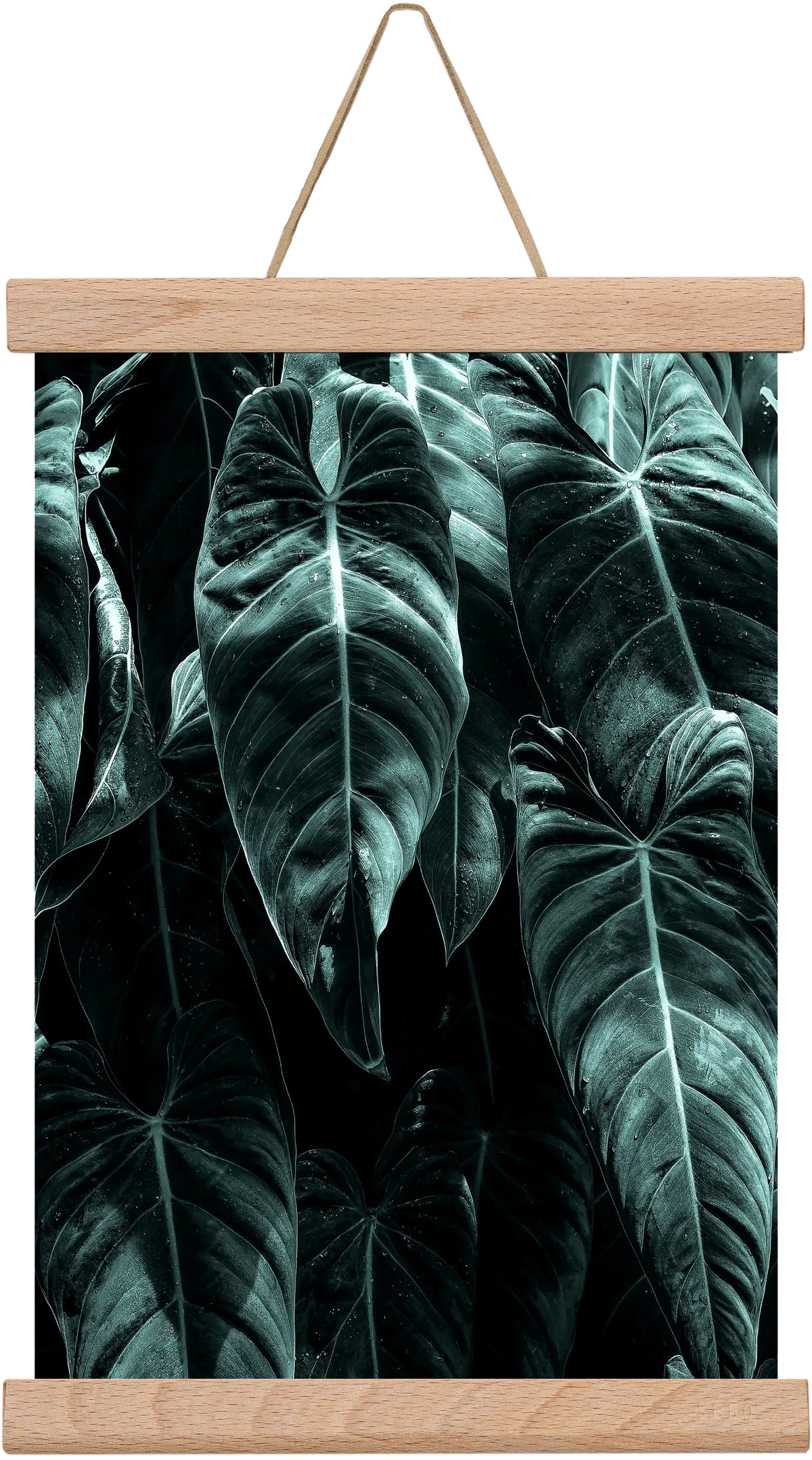Jungle - artbridge