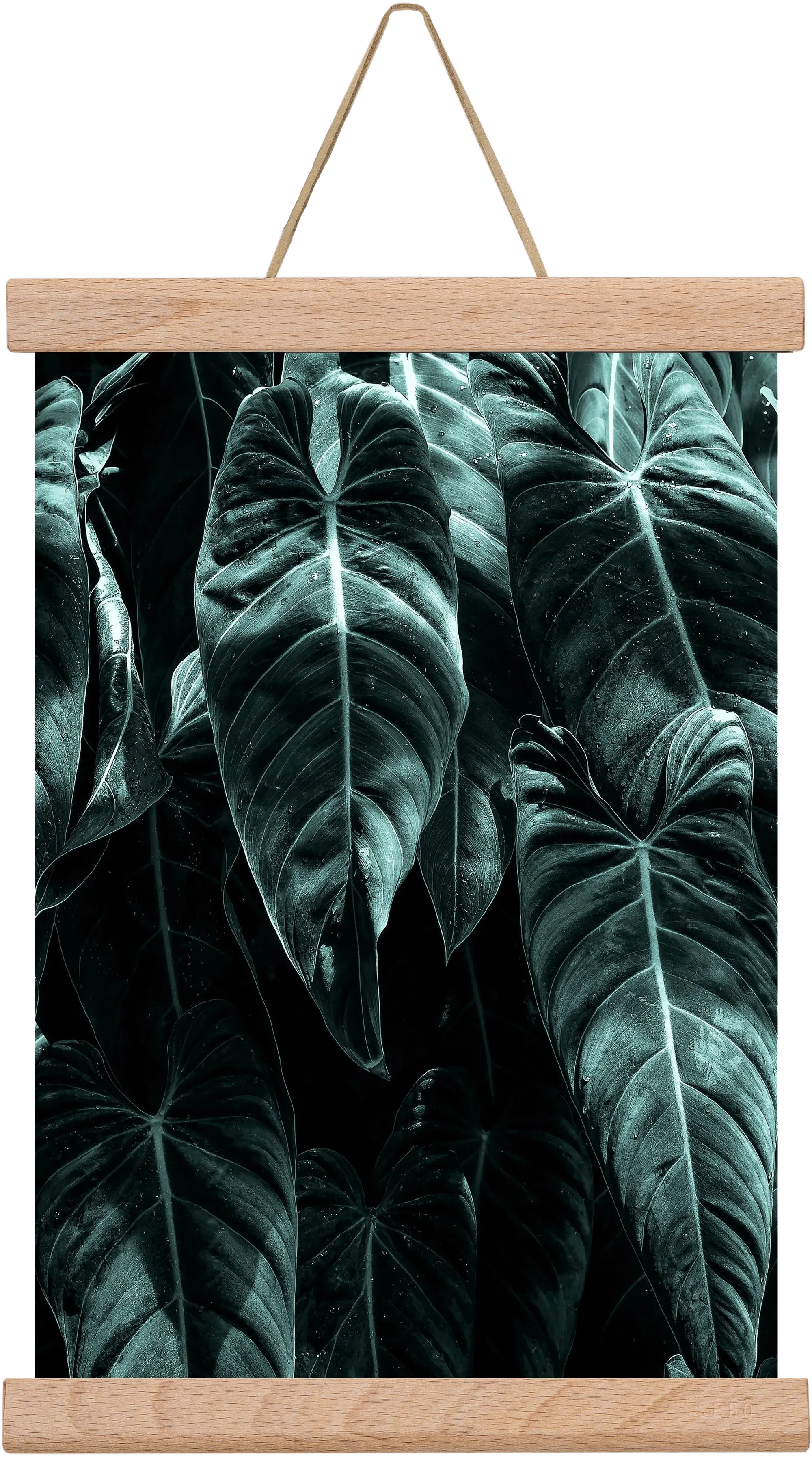Jungle - artbridge