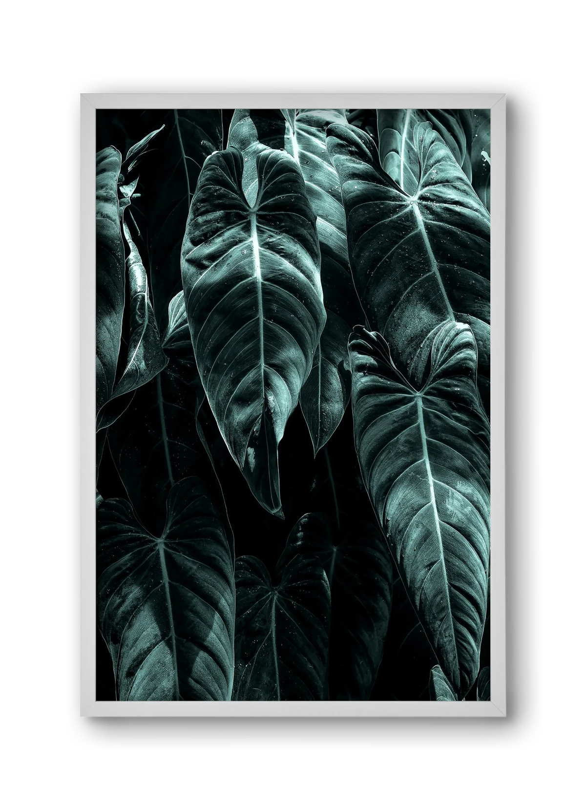 Jungle - artbridge