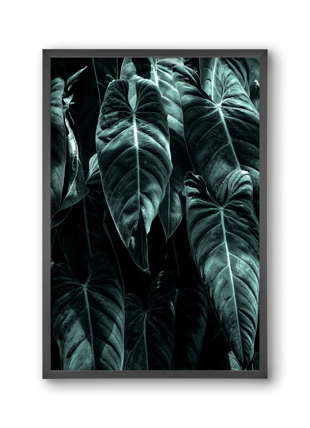 Jungle - artbridge