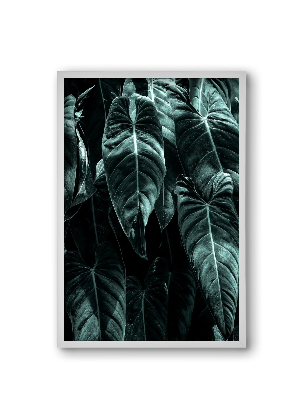 Jungle - artbridge