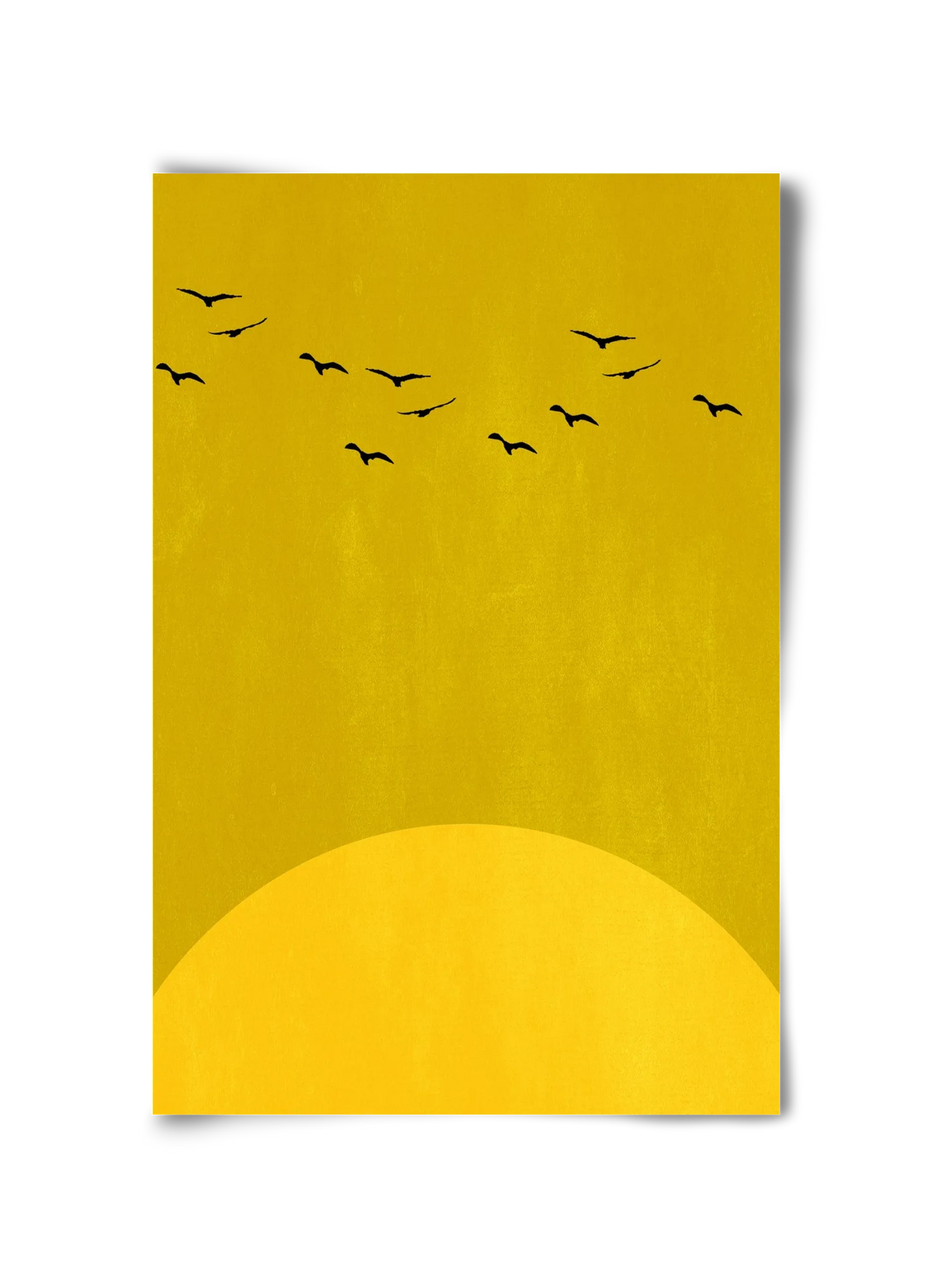 Sundance - artbridge