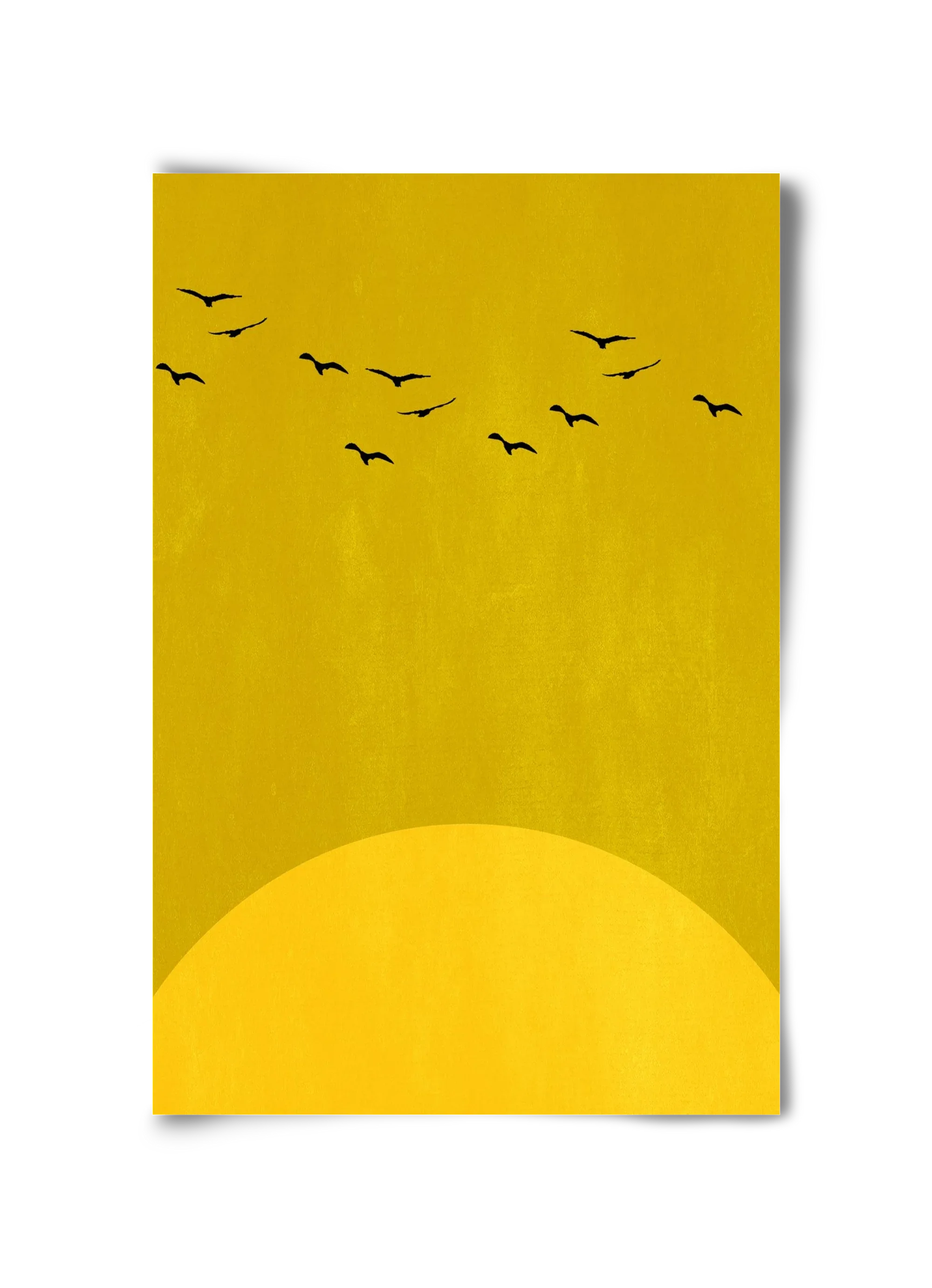 Sundance - artbridge