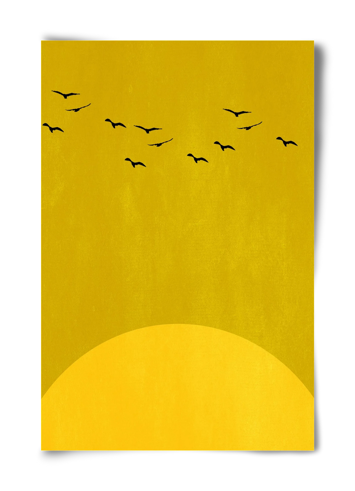Sundance - artbridge