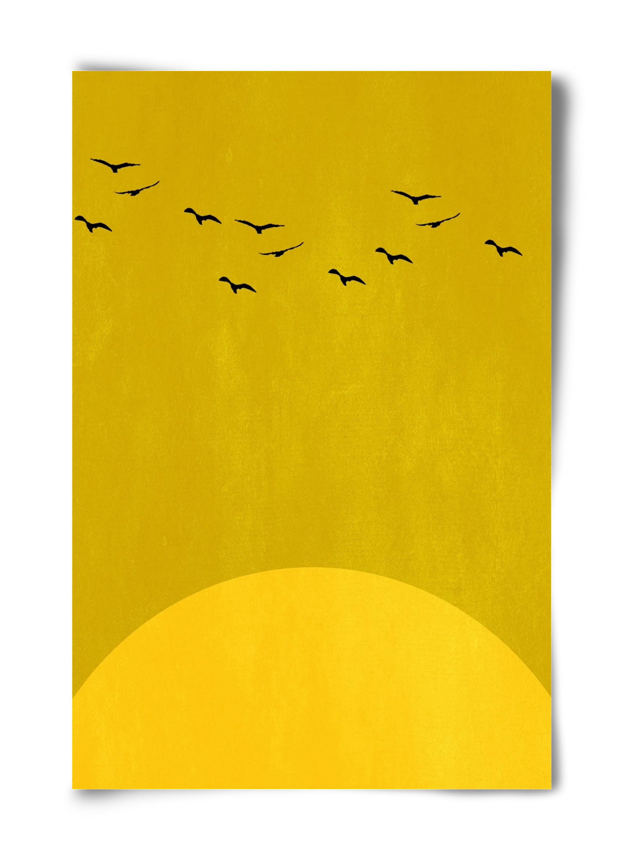 Sundance - artbridge