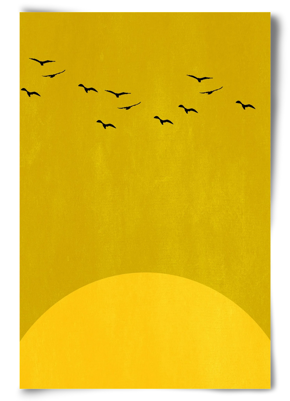 Sundance - artbridge