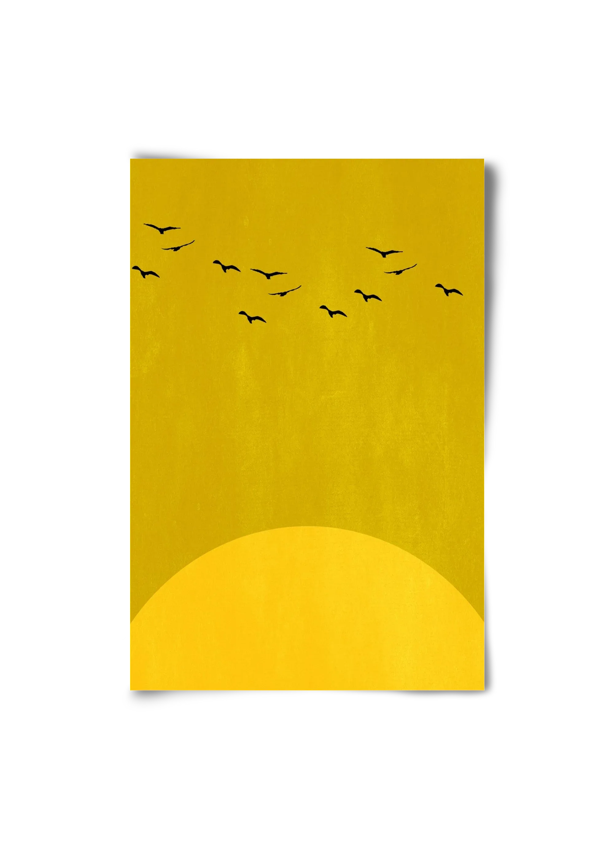 Sundance - artbridge