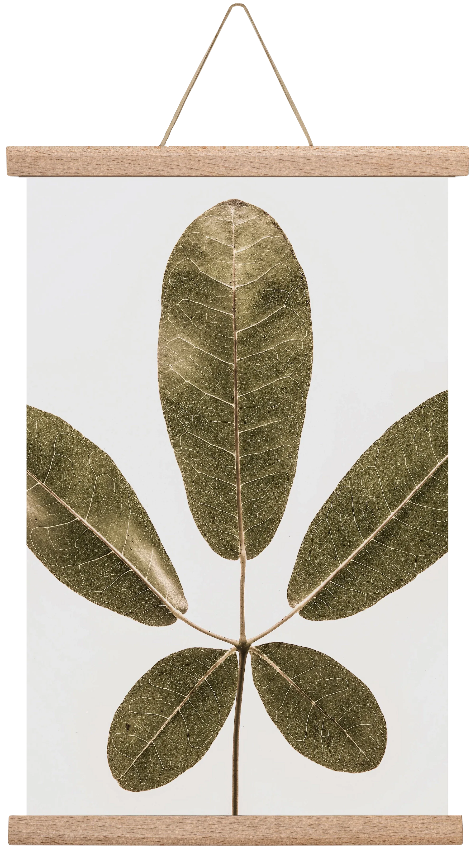 Autumn leaf - artbridge