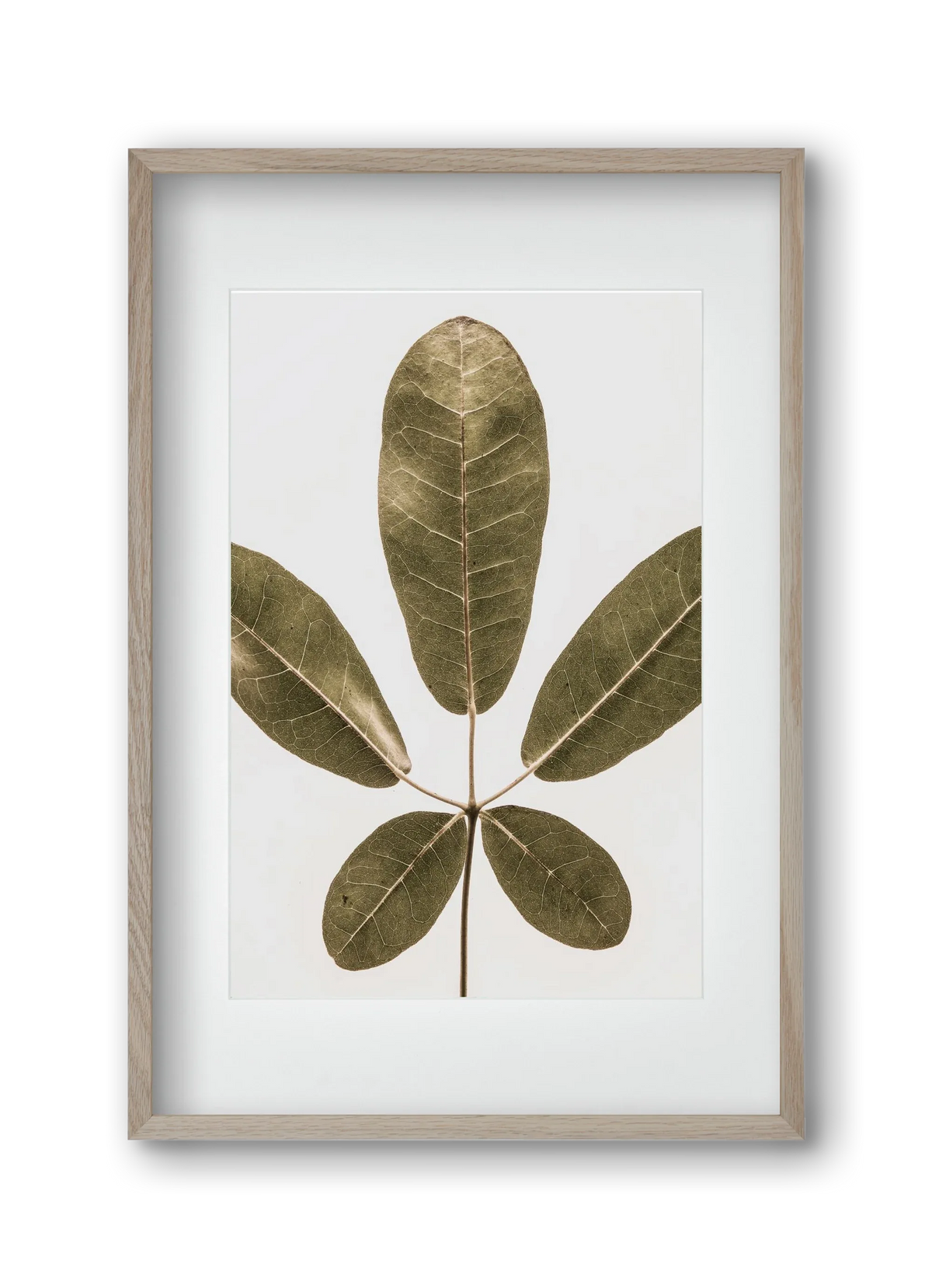 Autumn leaf - artbridge