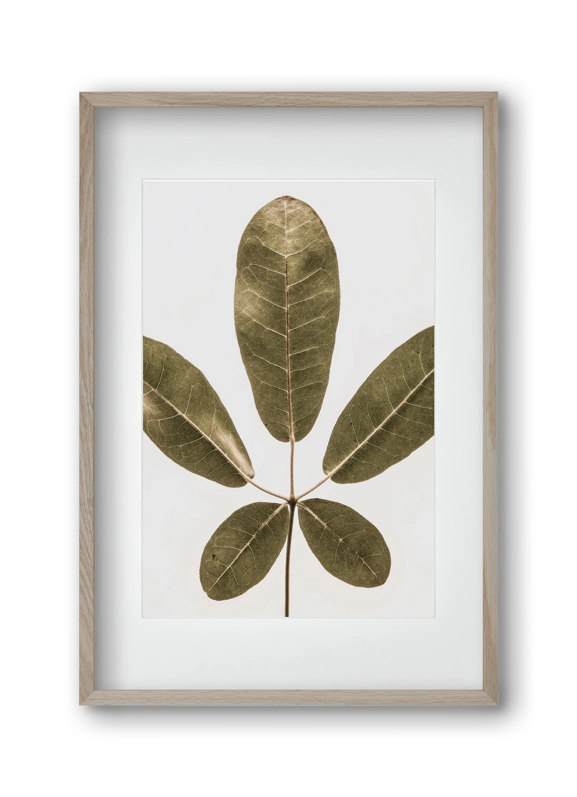 Autumn leaf - artbridge