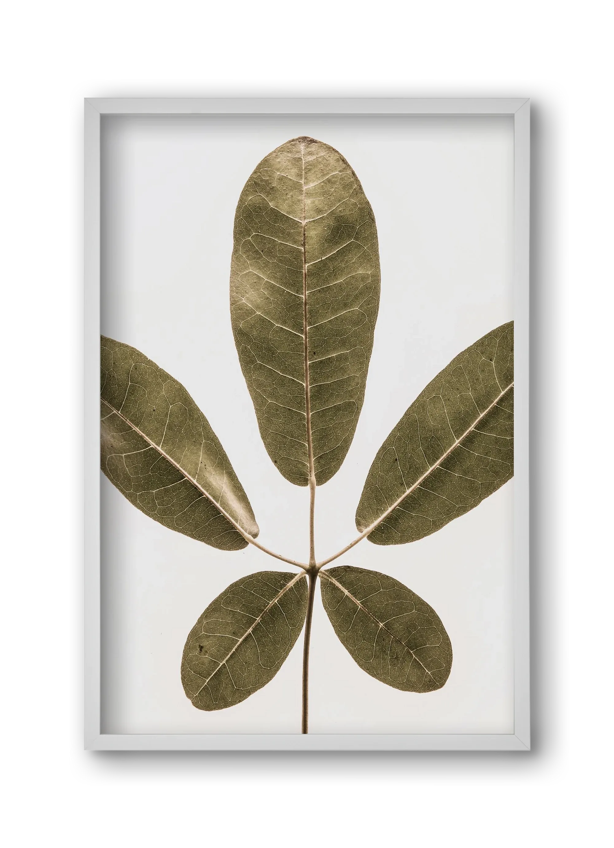 Autumn leaf - artbridge