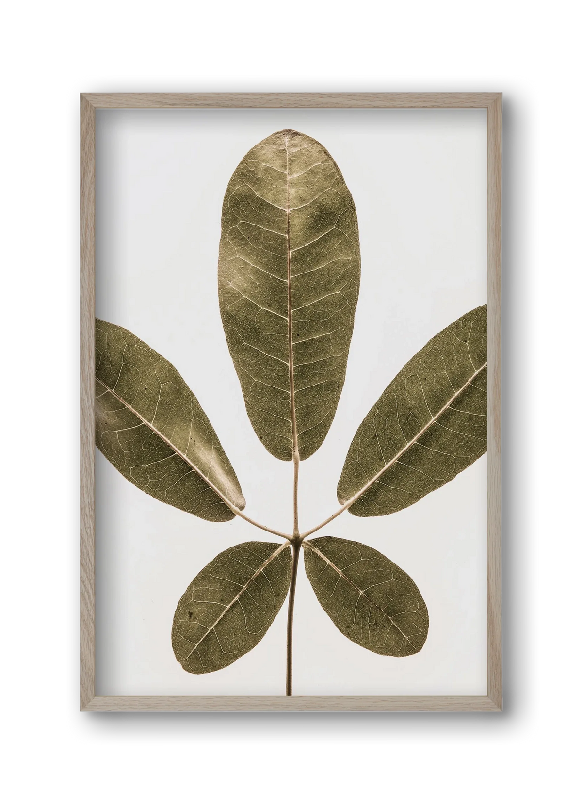 Autumn leaf - artbridge