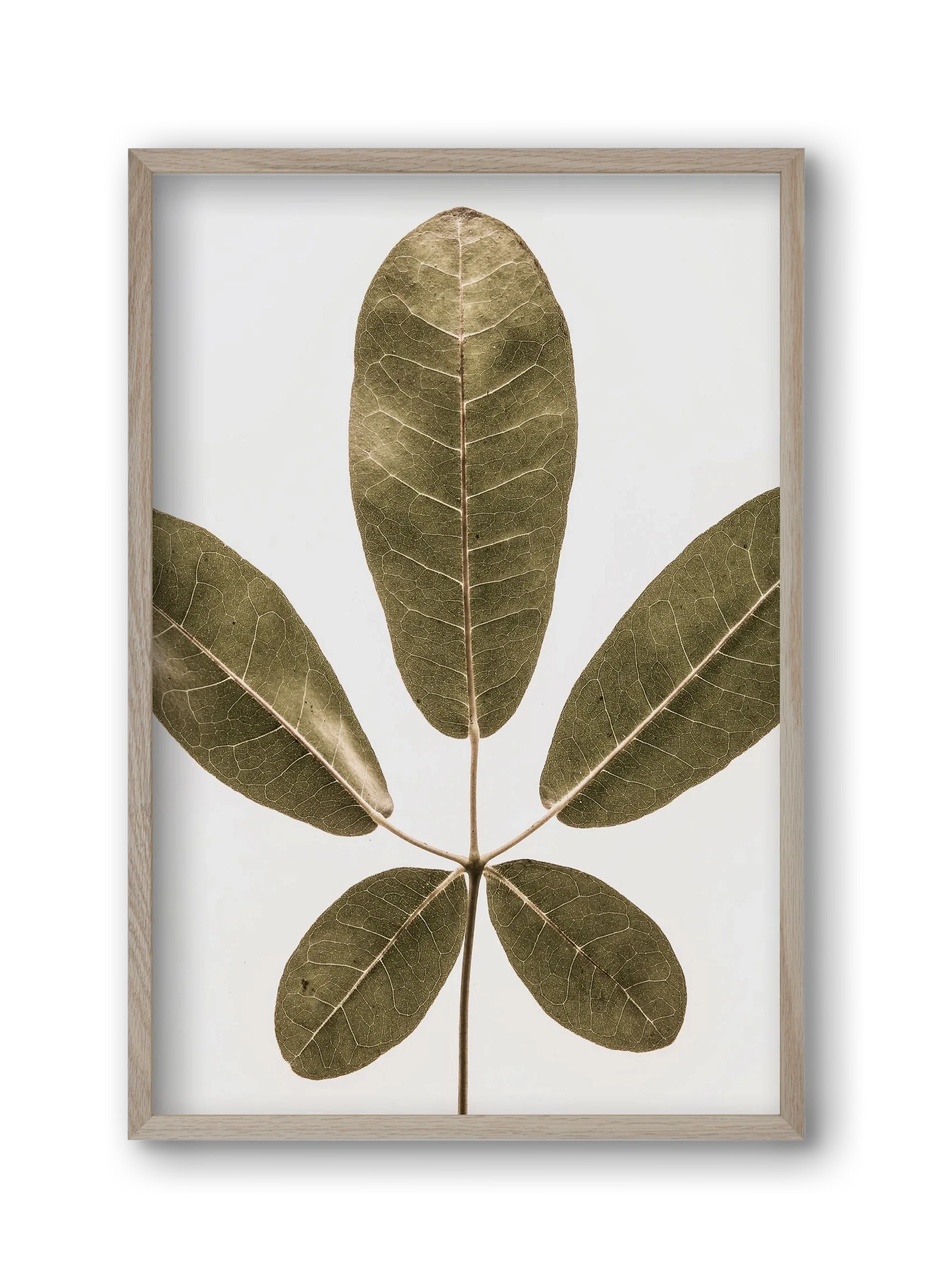 Autumn leaf - artbridge