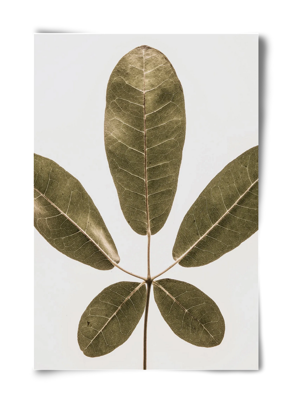 Autumn leaf - artbridge