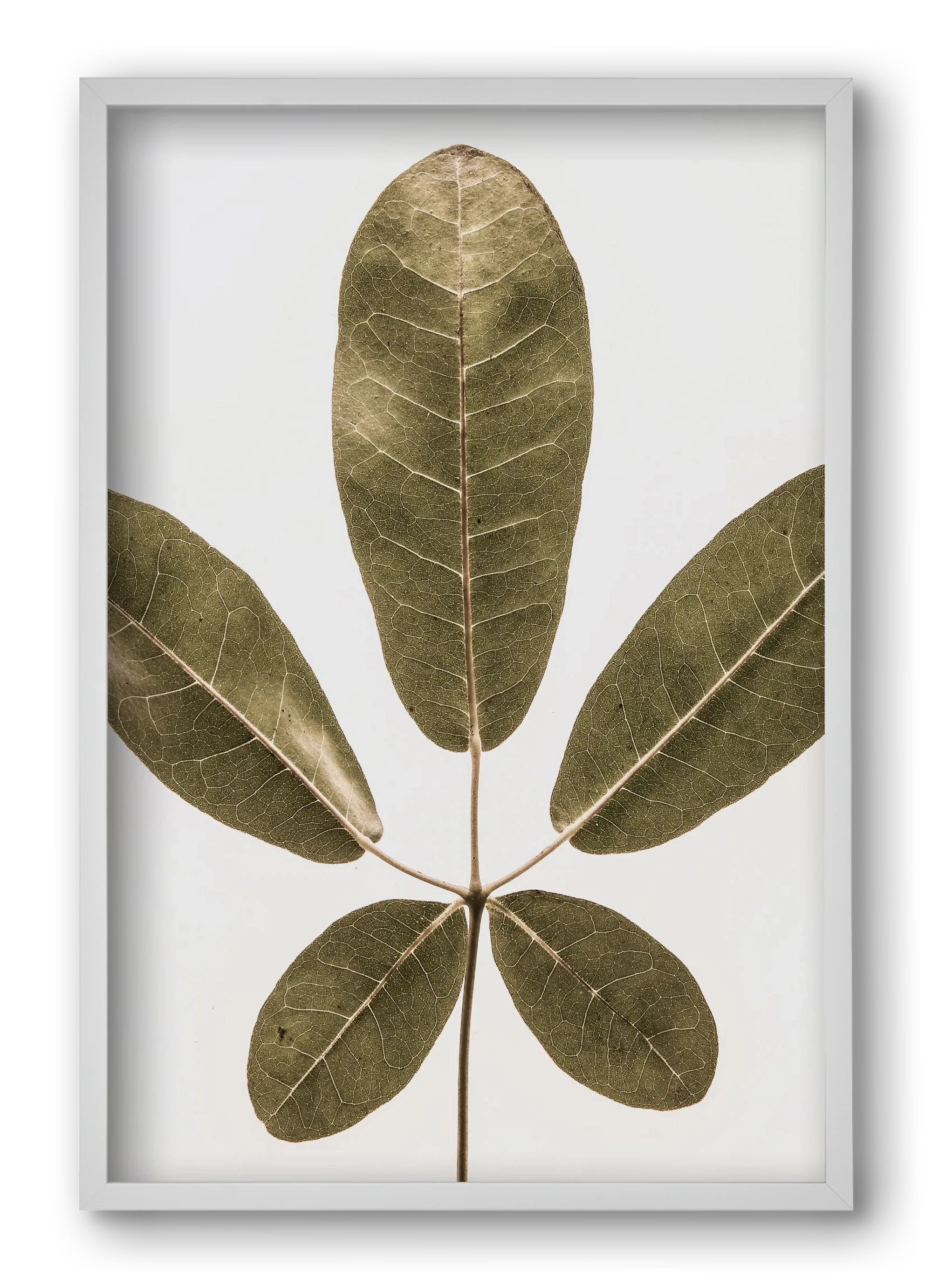 Autumn leaf - artbridge