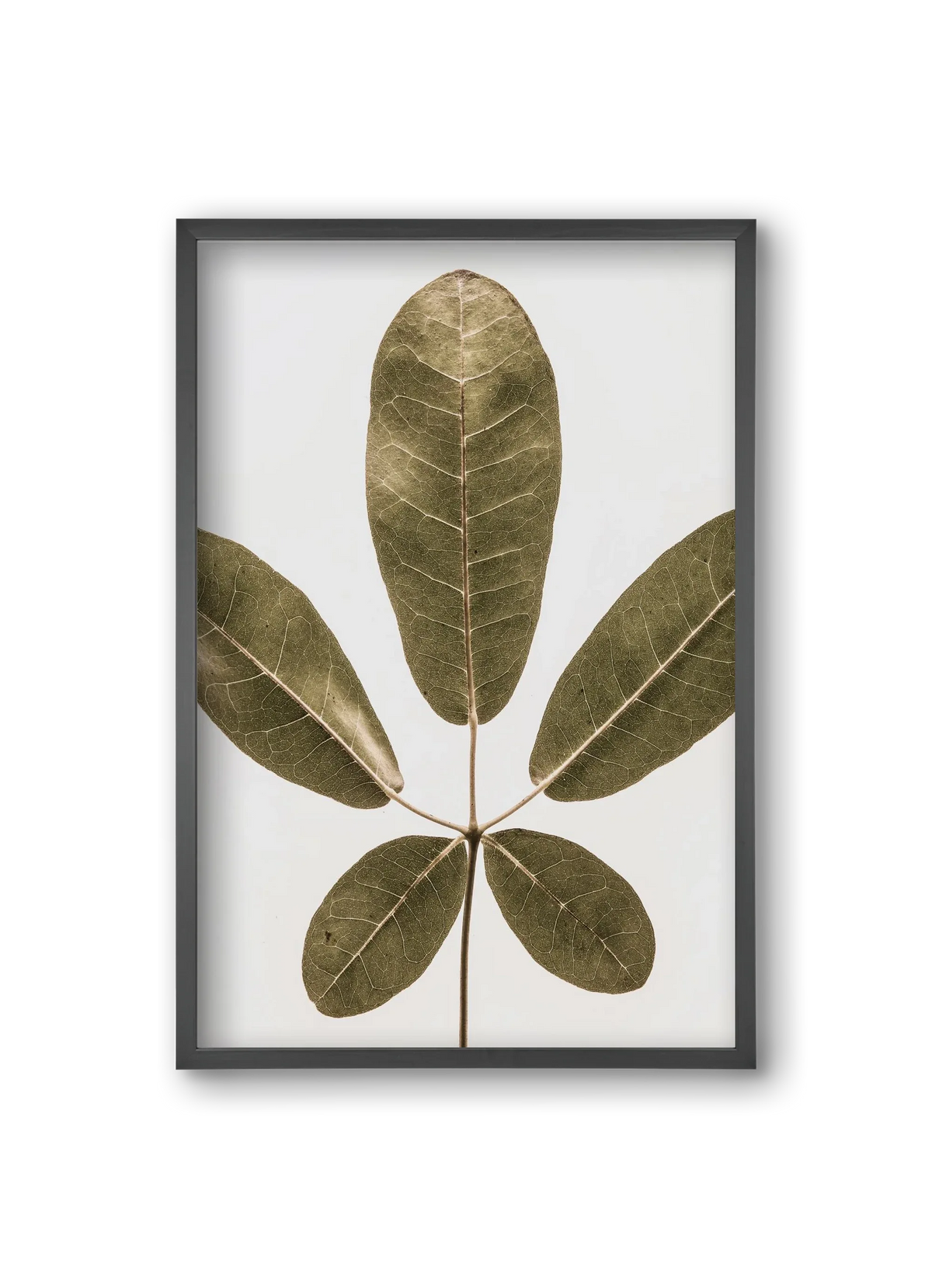 Autumn leaf - artbridge