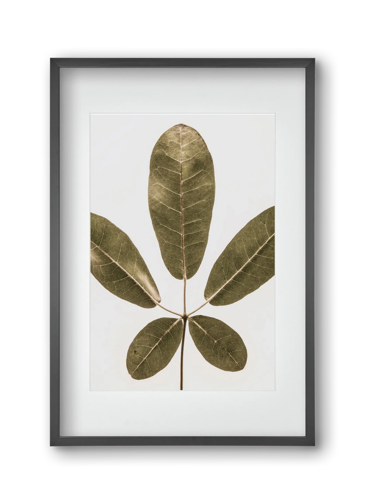 Autumn leaf - artbridge