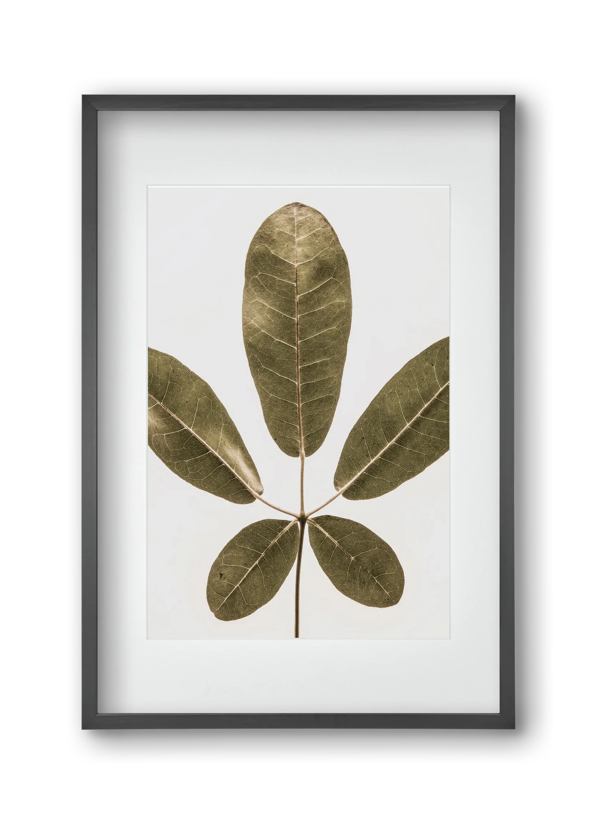 Autumn leaf - artbridge
