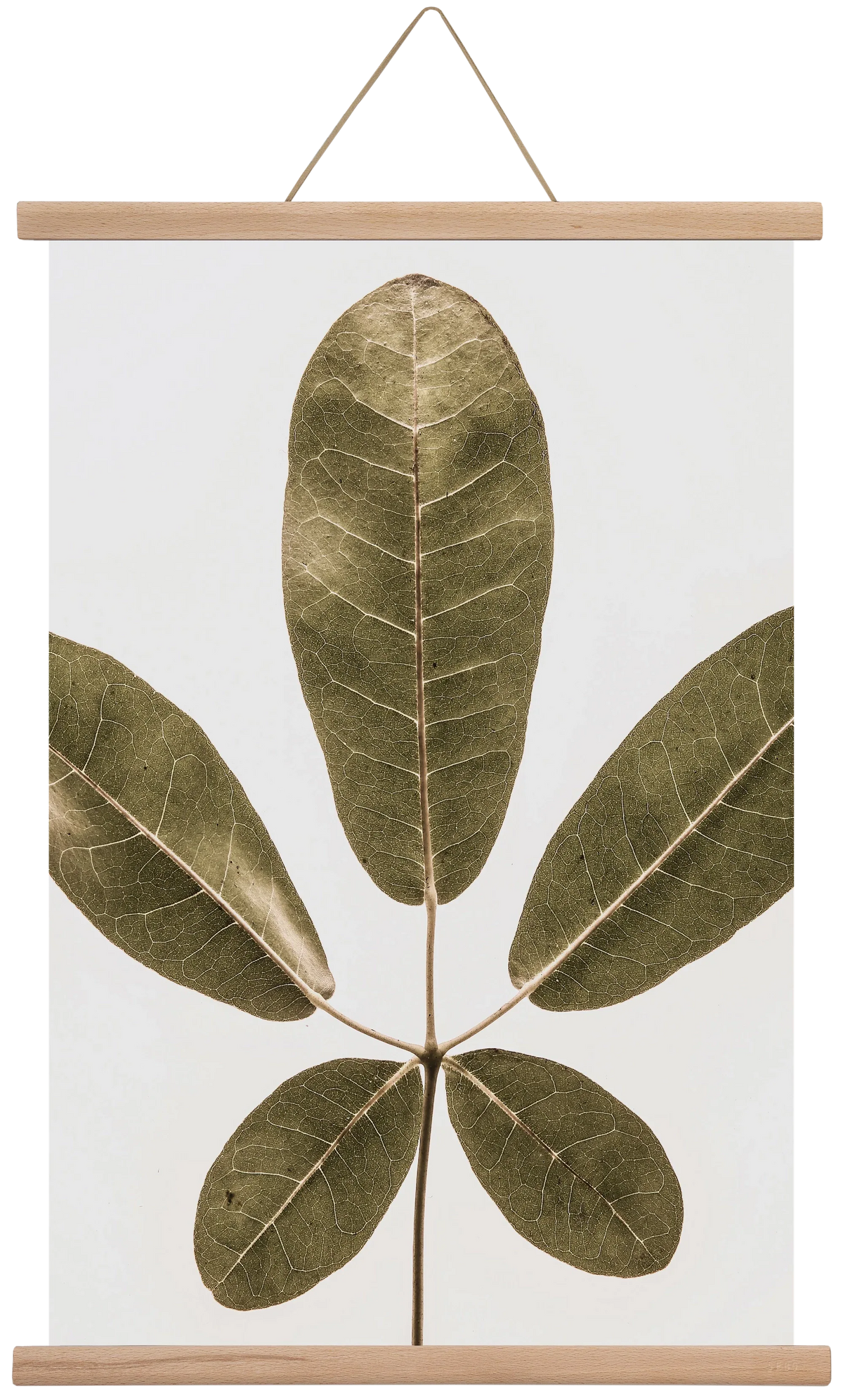 Autumn leaf - artbridge