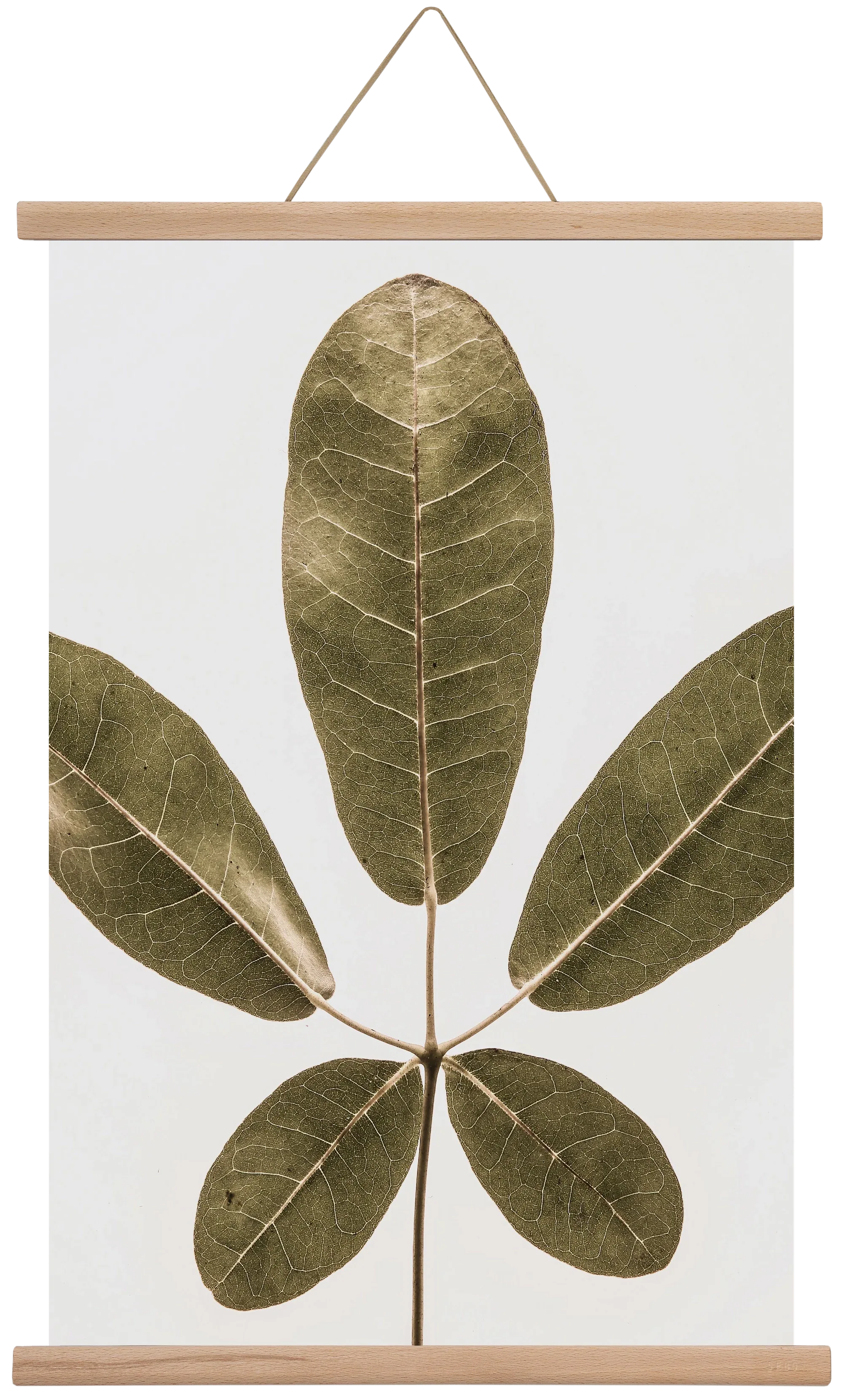 Autumn leaf - artbridge