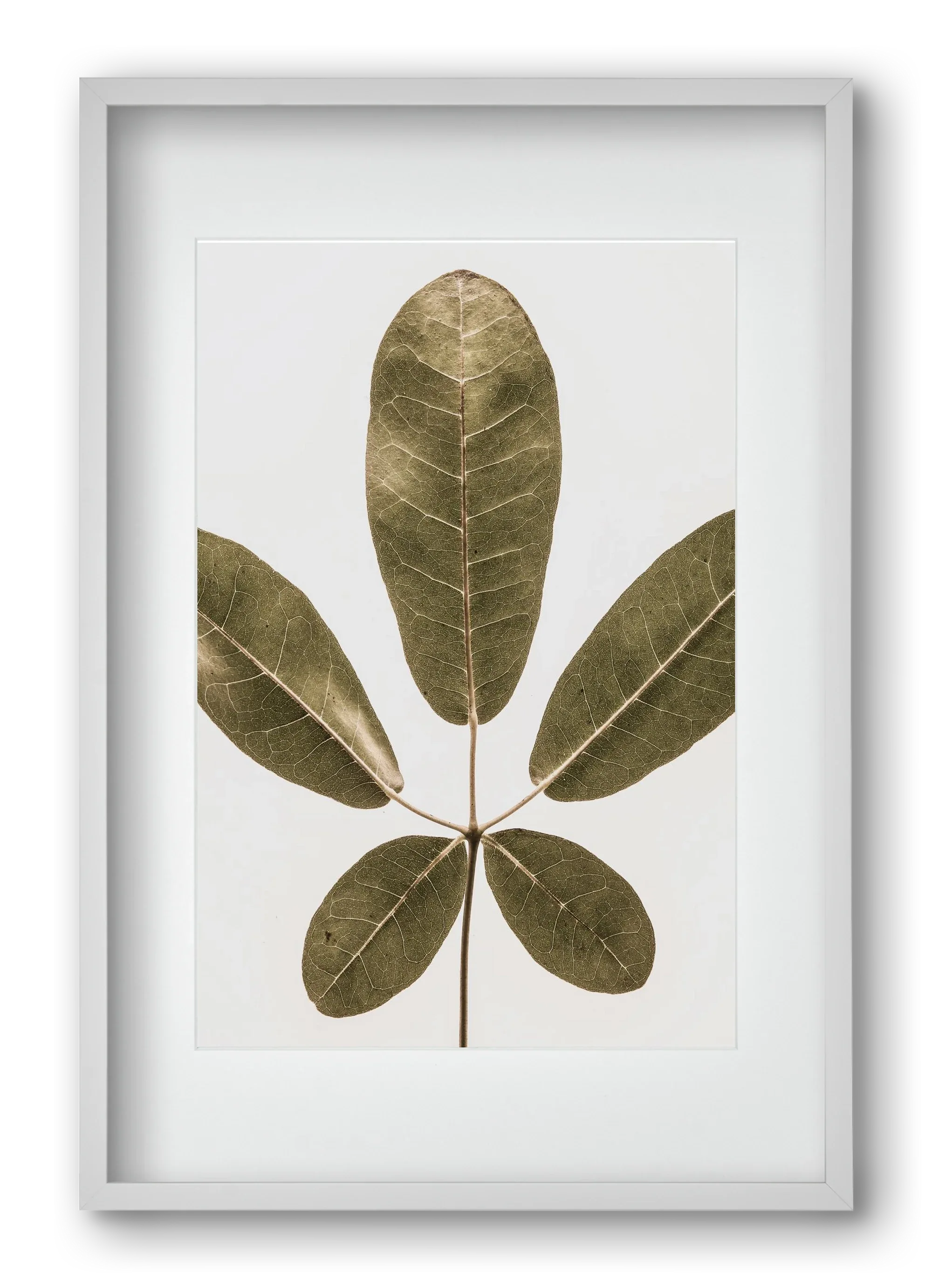 Autumn leaf - artbridge