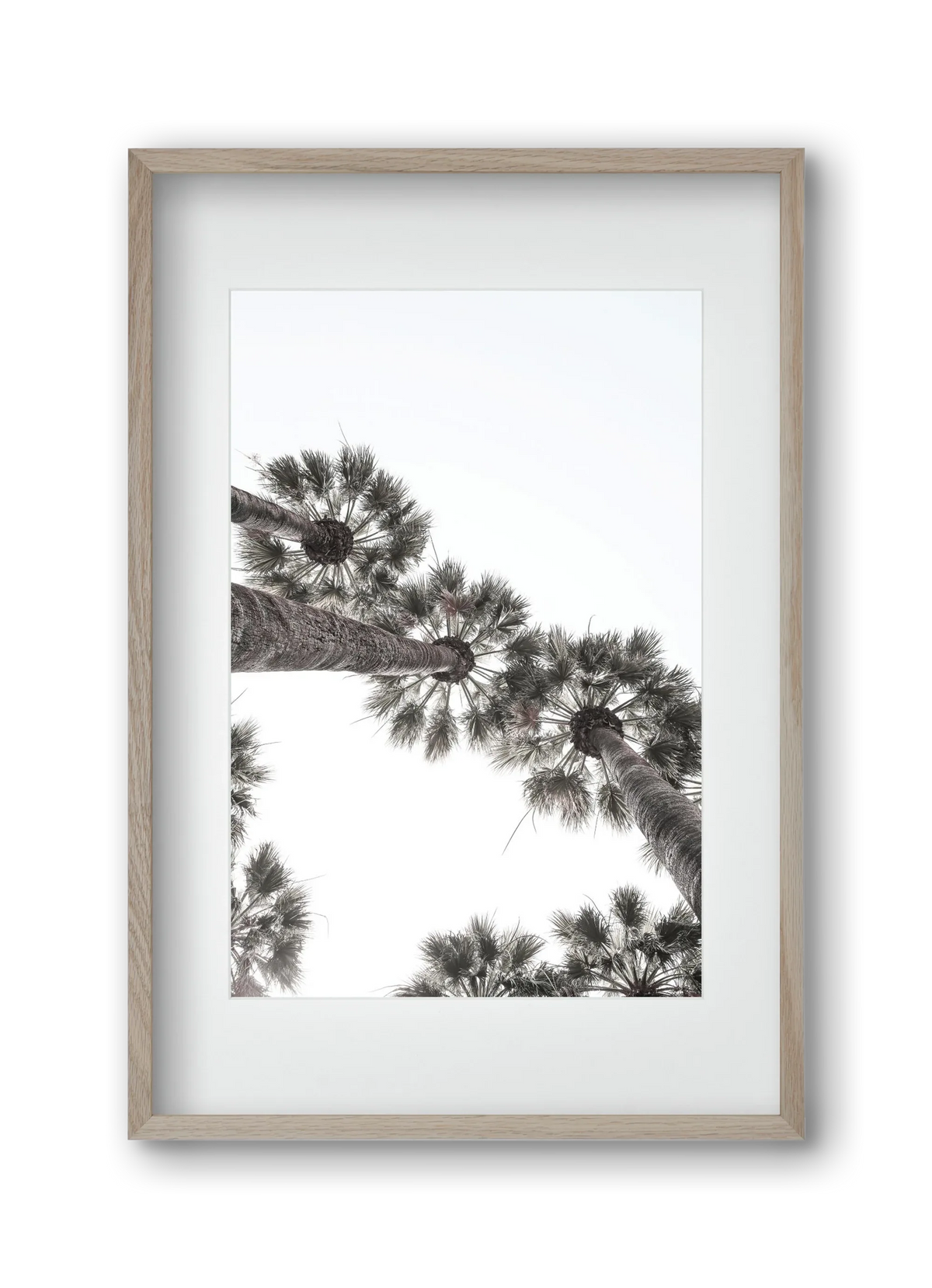 Bodrum Plams - artbridge