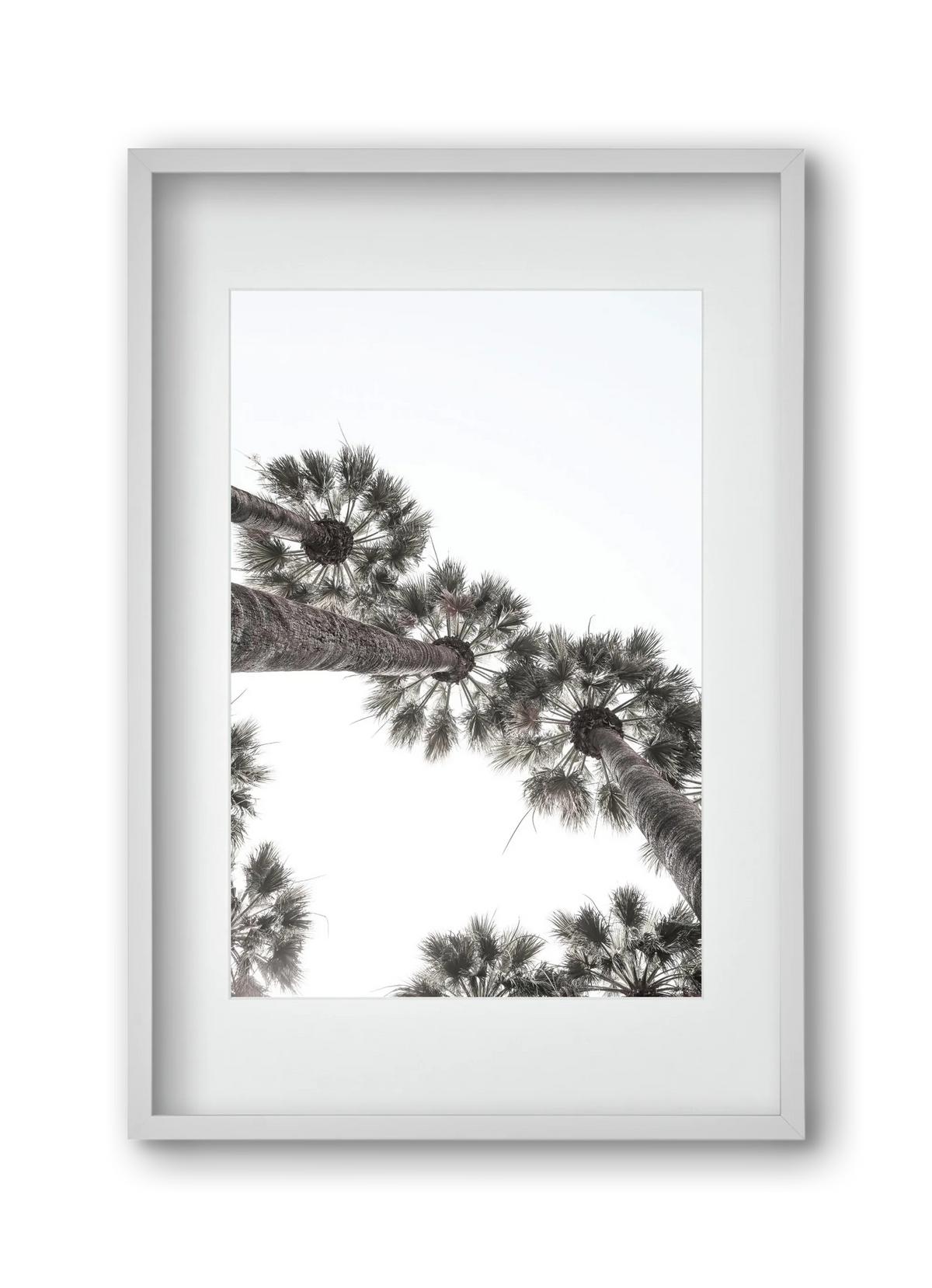 Bodrum Plams - artbridge